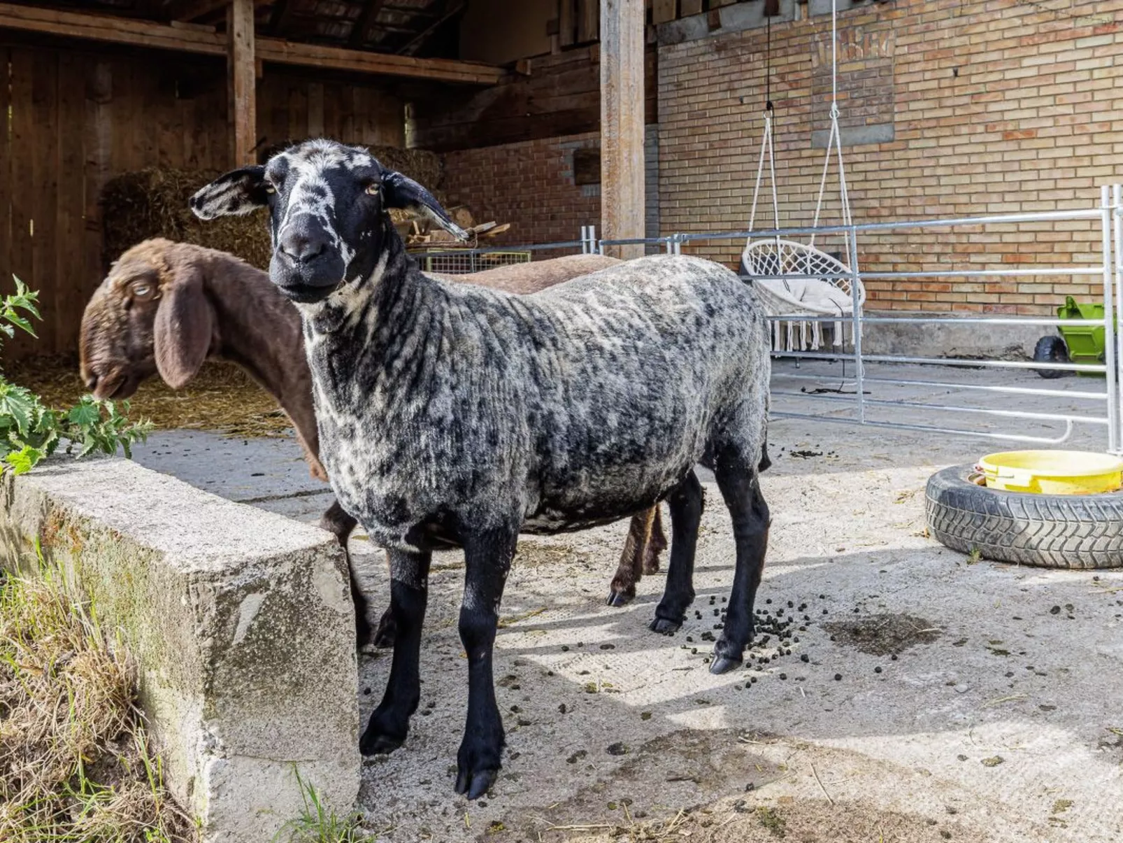 Uelis-Stoeckli - Outside