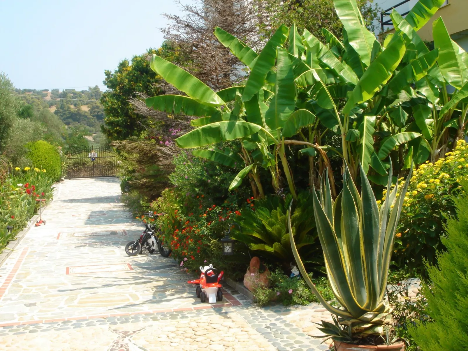 Aus dem Garten direkt an den Strand - Outside