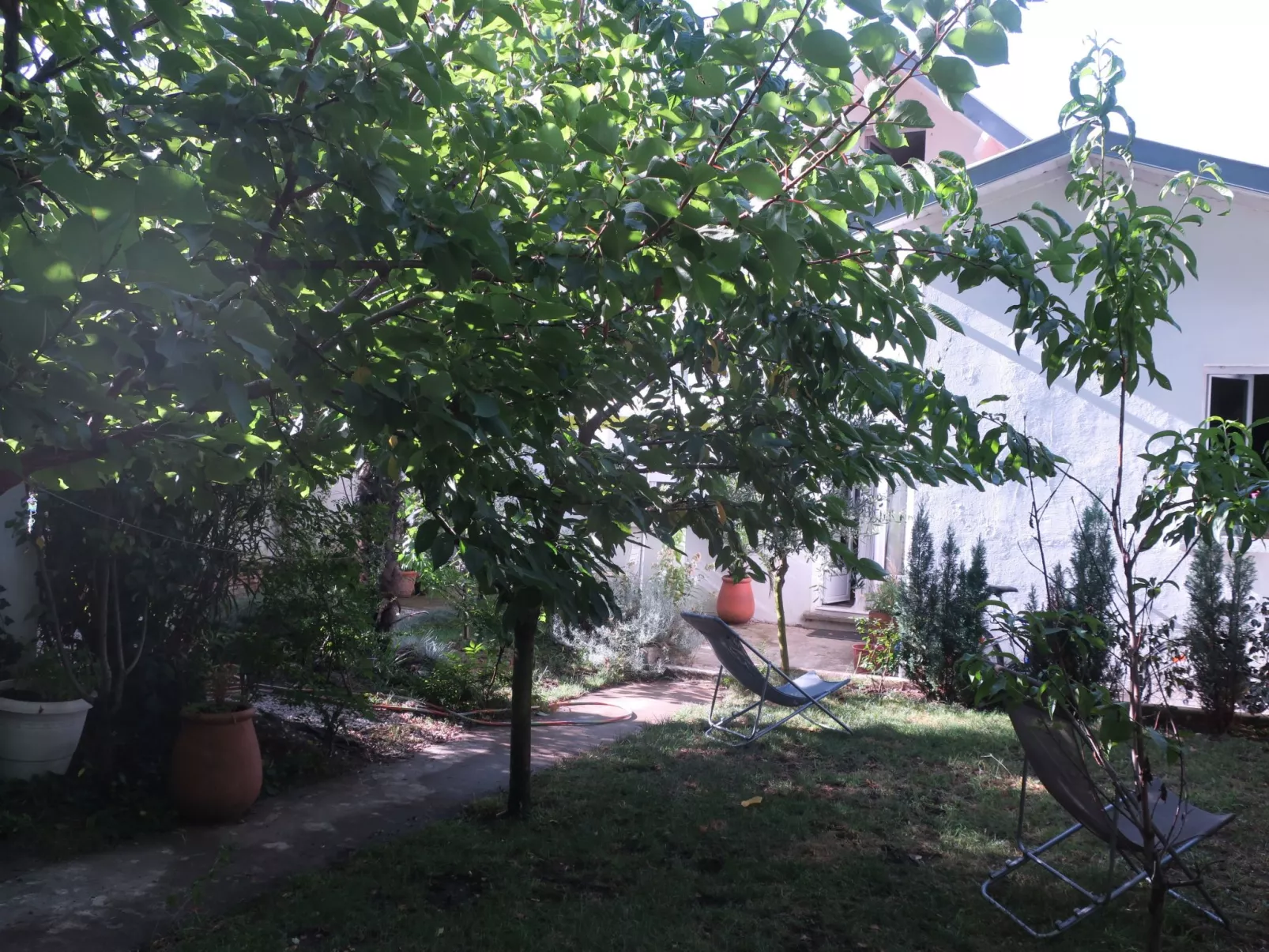 Ferienzimmer "Toulousaine arborée" (Toulouse mit Bäumen) - Draußen