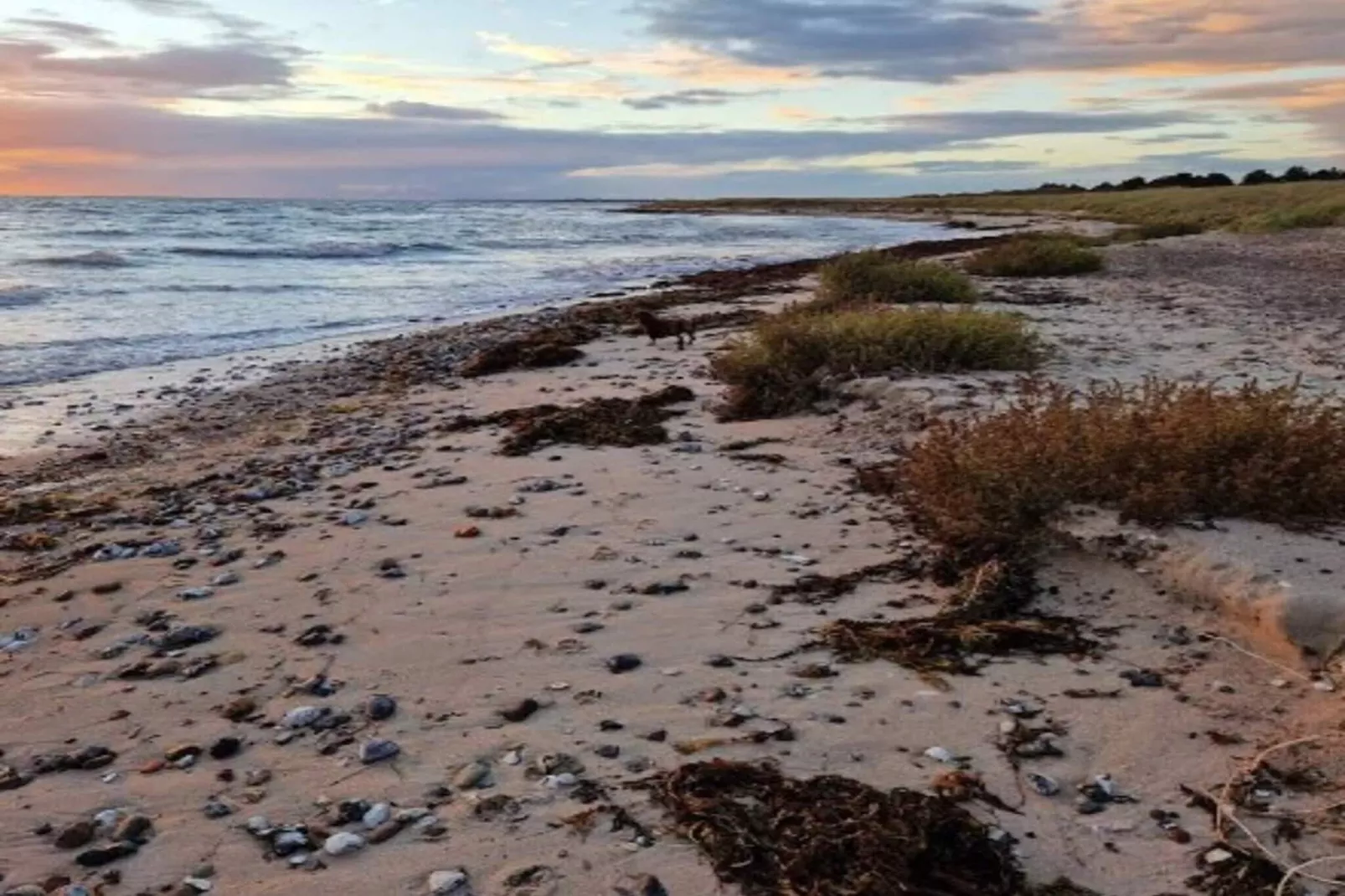 5 Personen Ferienhaus in Rødby - Im Freien