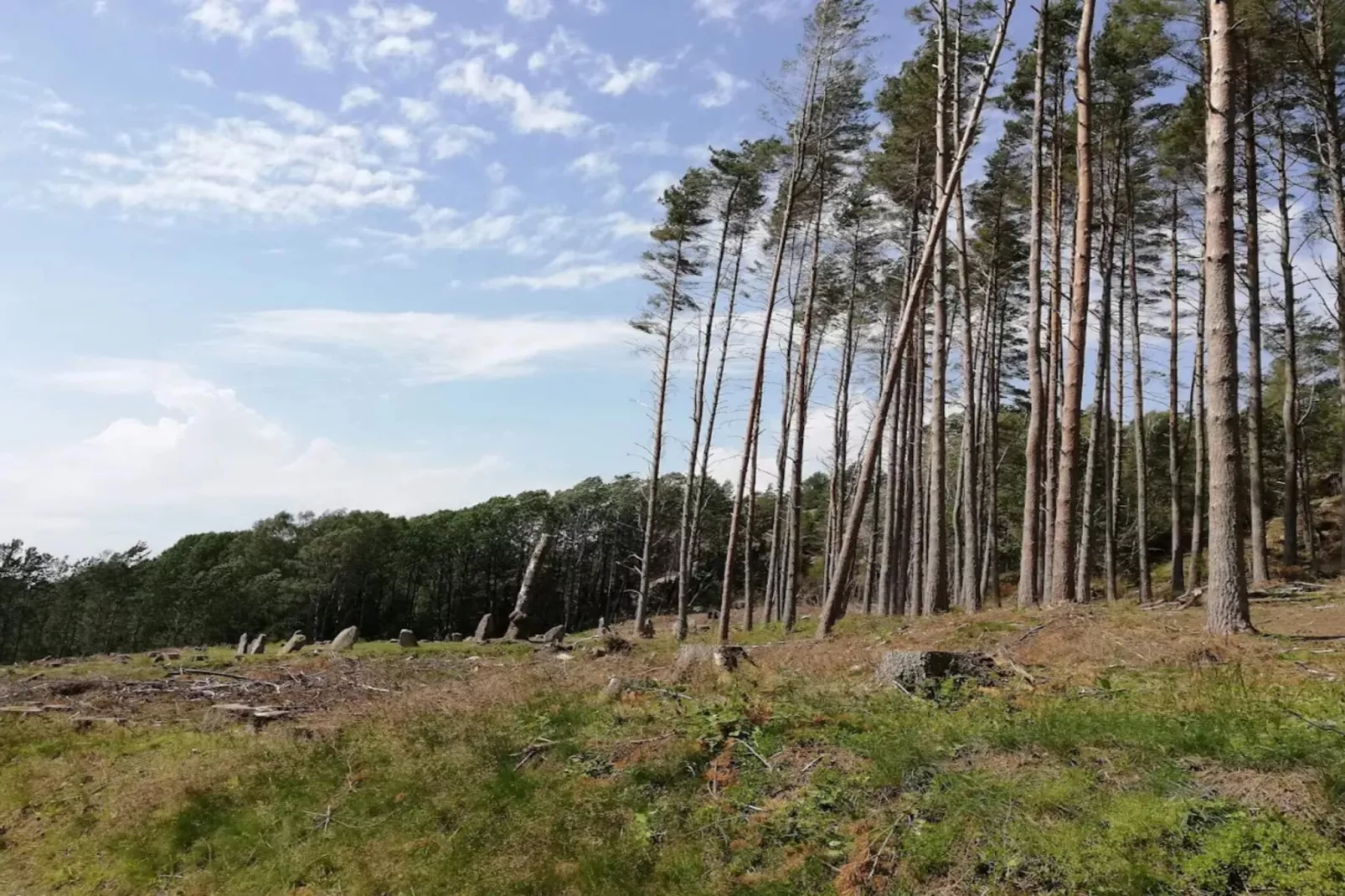 Maison de vacances pour 6 a Fjällbacka - Non tagué