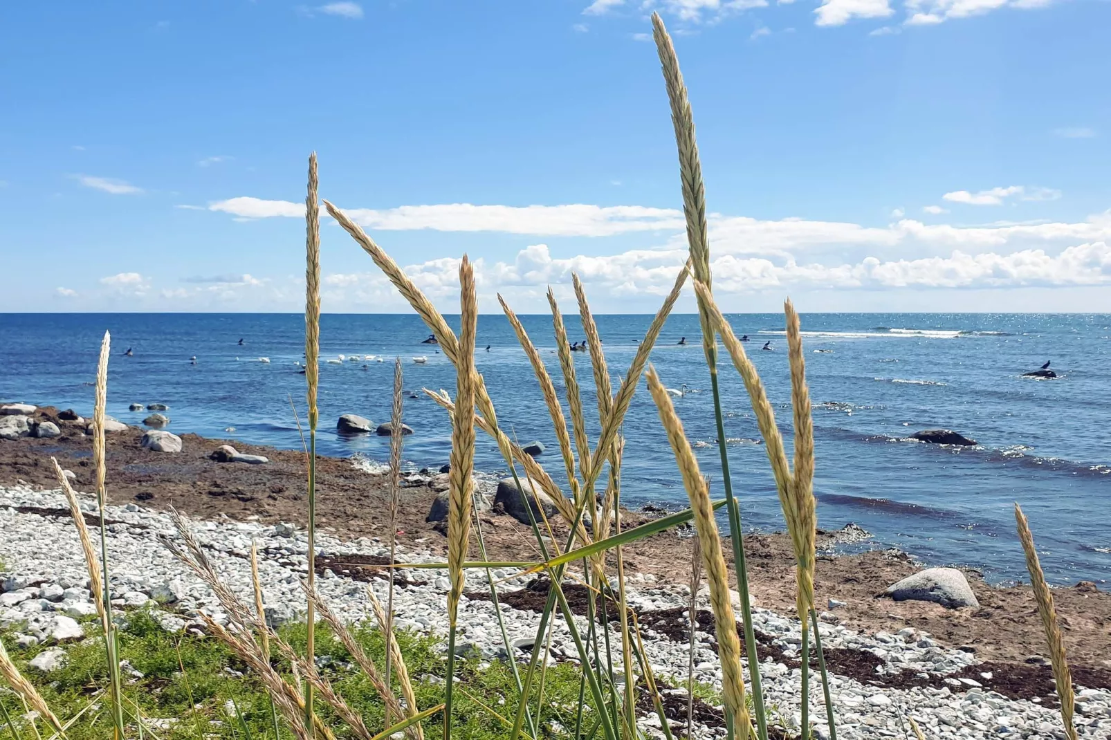 Maison de vacances pour 5 a SMYGEHAMN - Vue sur l'eau