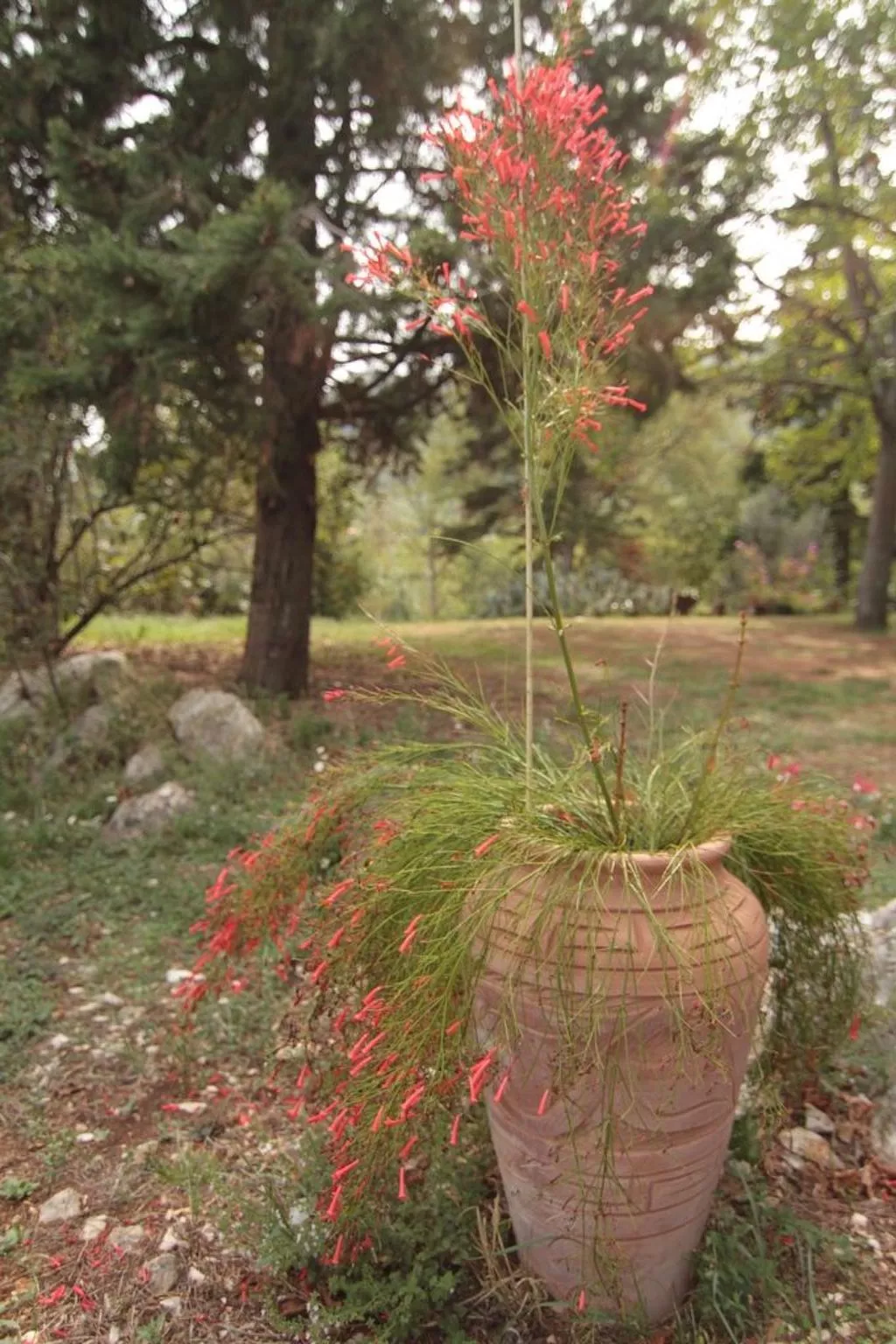 Modernes Ferienhaus in Drenje mit Privatem Garten - Inside