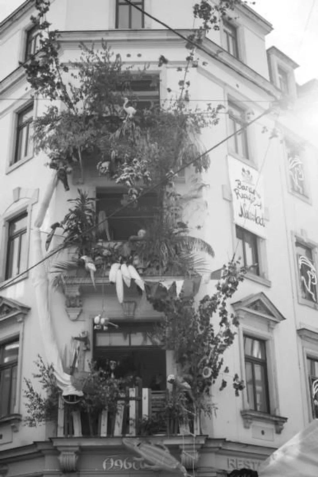 Apfeltraum - Outside