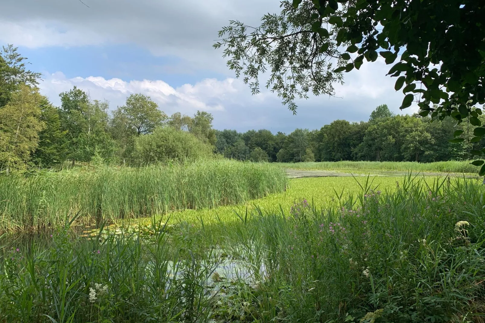 Lake view villa met zwem- vissteiger-Areas summer 1km