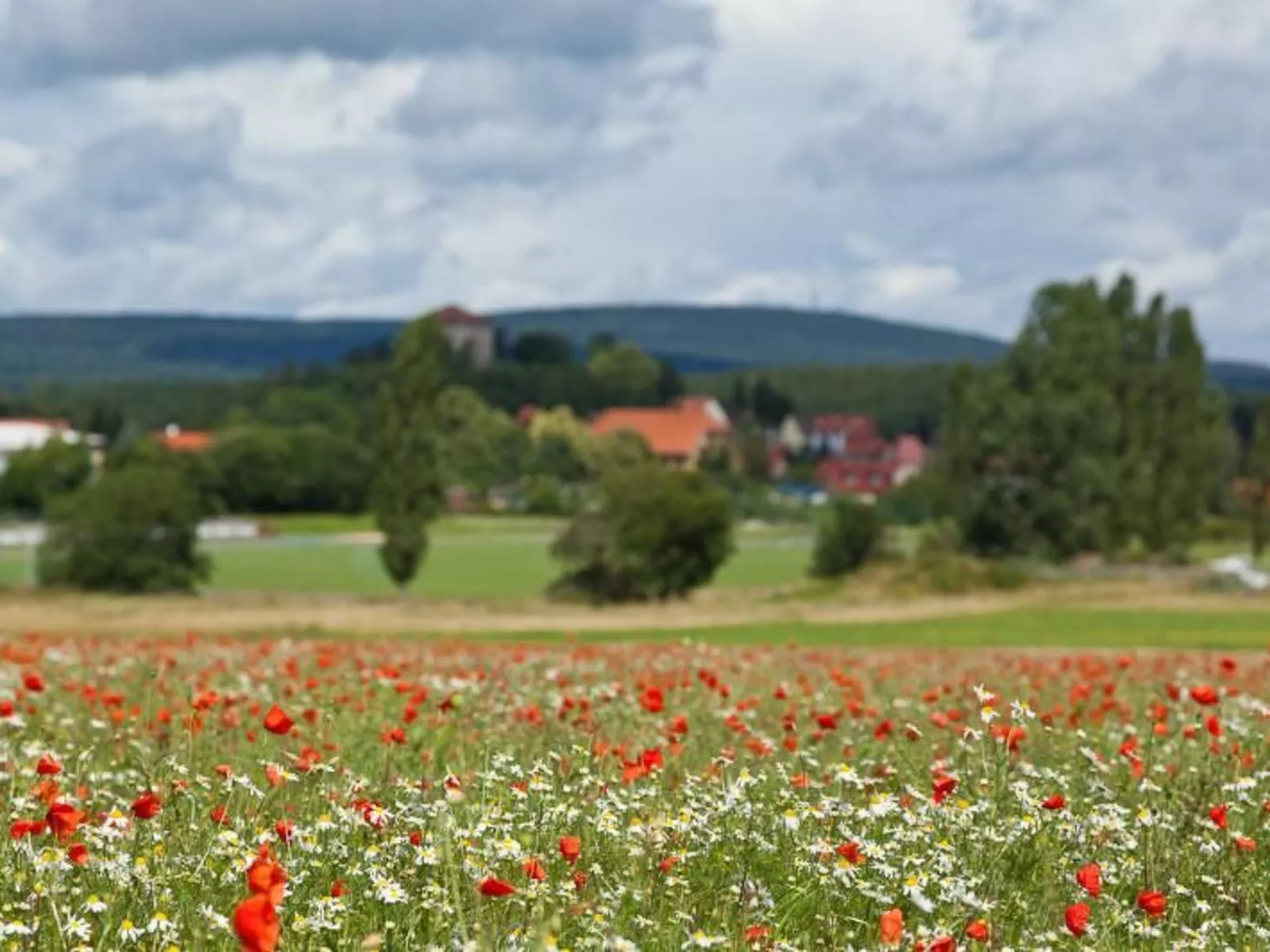 Gästezimmer für 2 Personen - Draußen