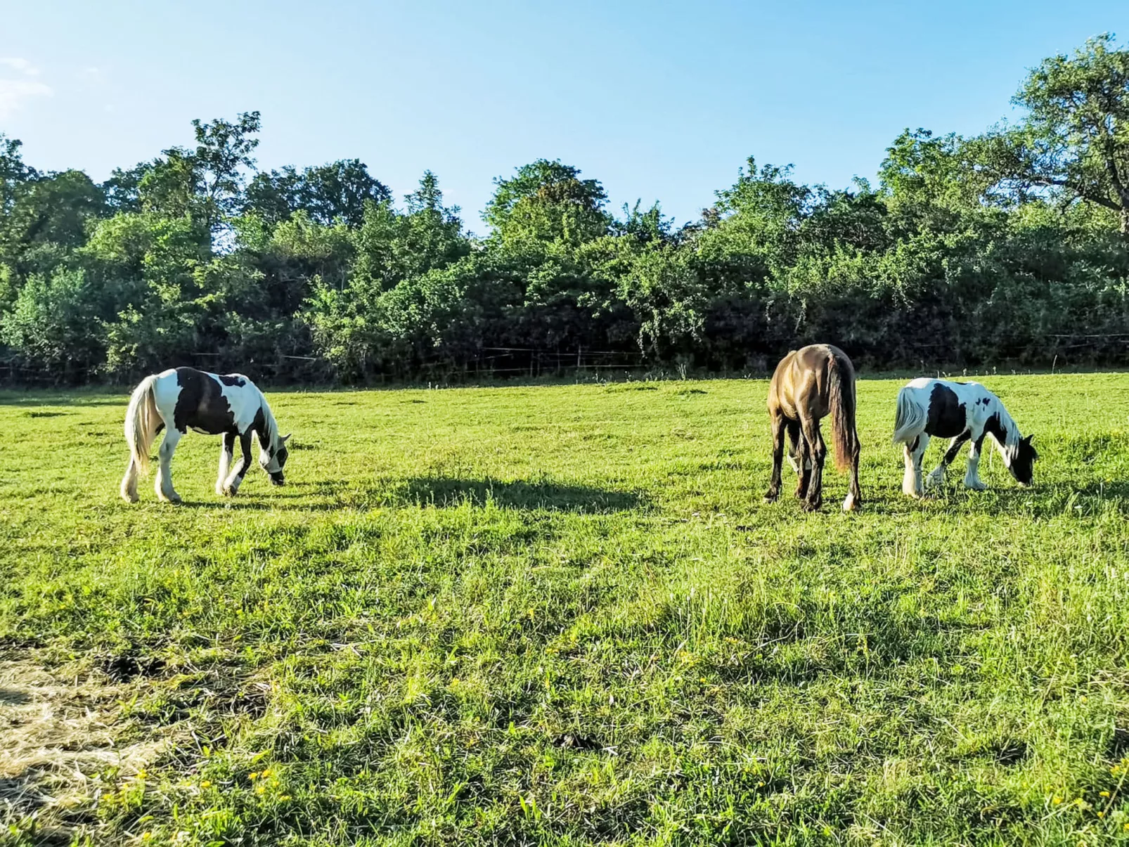 Tinkerhof Stahlhut - Dehors