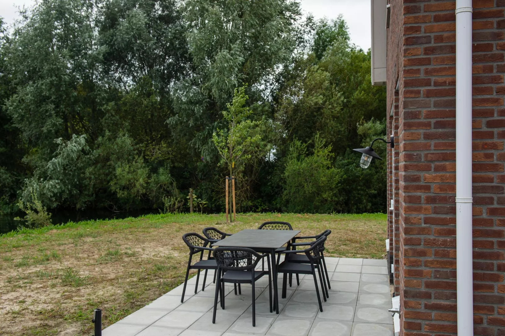 Kuifduiker 138c-Gärten Sommer