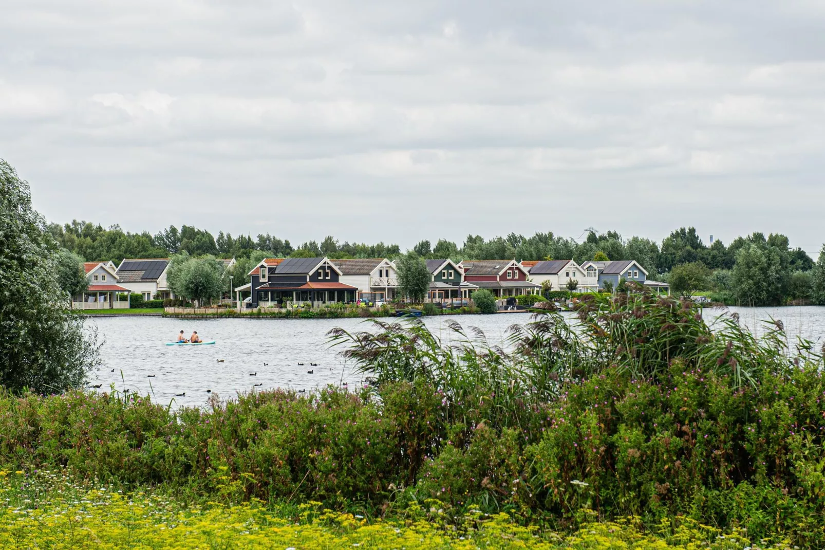 Kuifduiker 138c-Aussicht Sommer