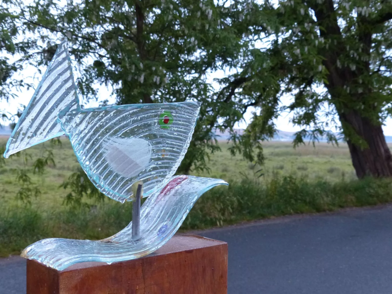 Tohus - Tamme - Image-tags.info