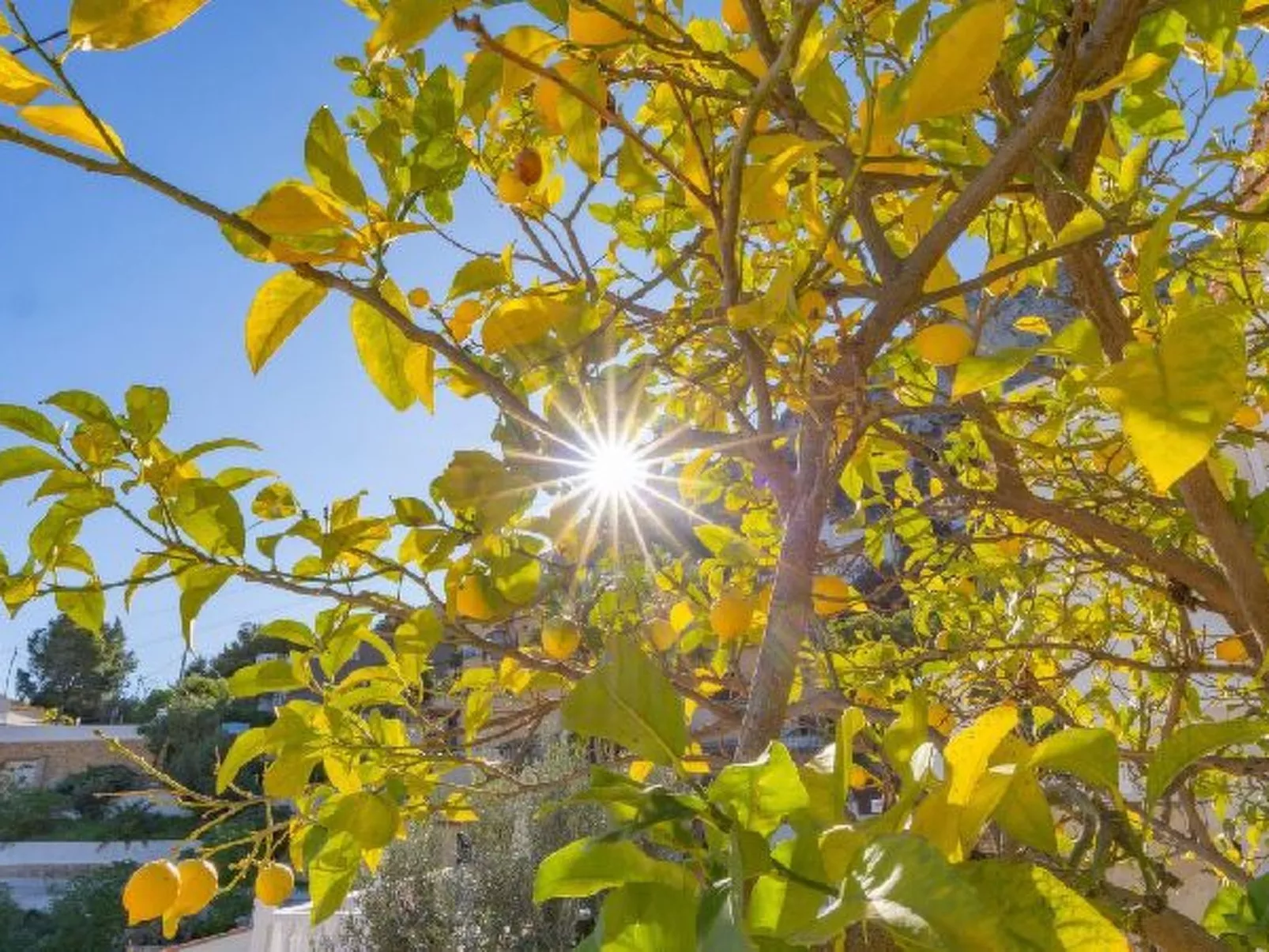 Villa Solari - Plusholidays - Image-tags.info