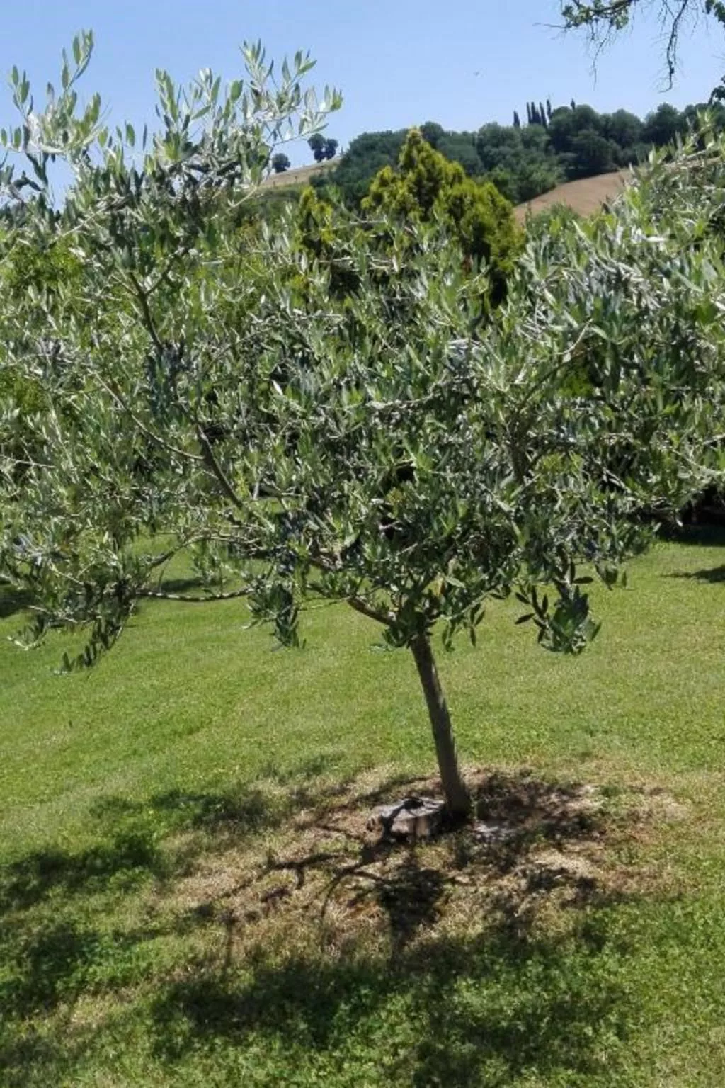 Rustikale Eleganz mit Blick auf die umbrische La - Draußen