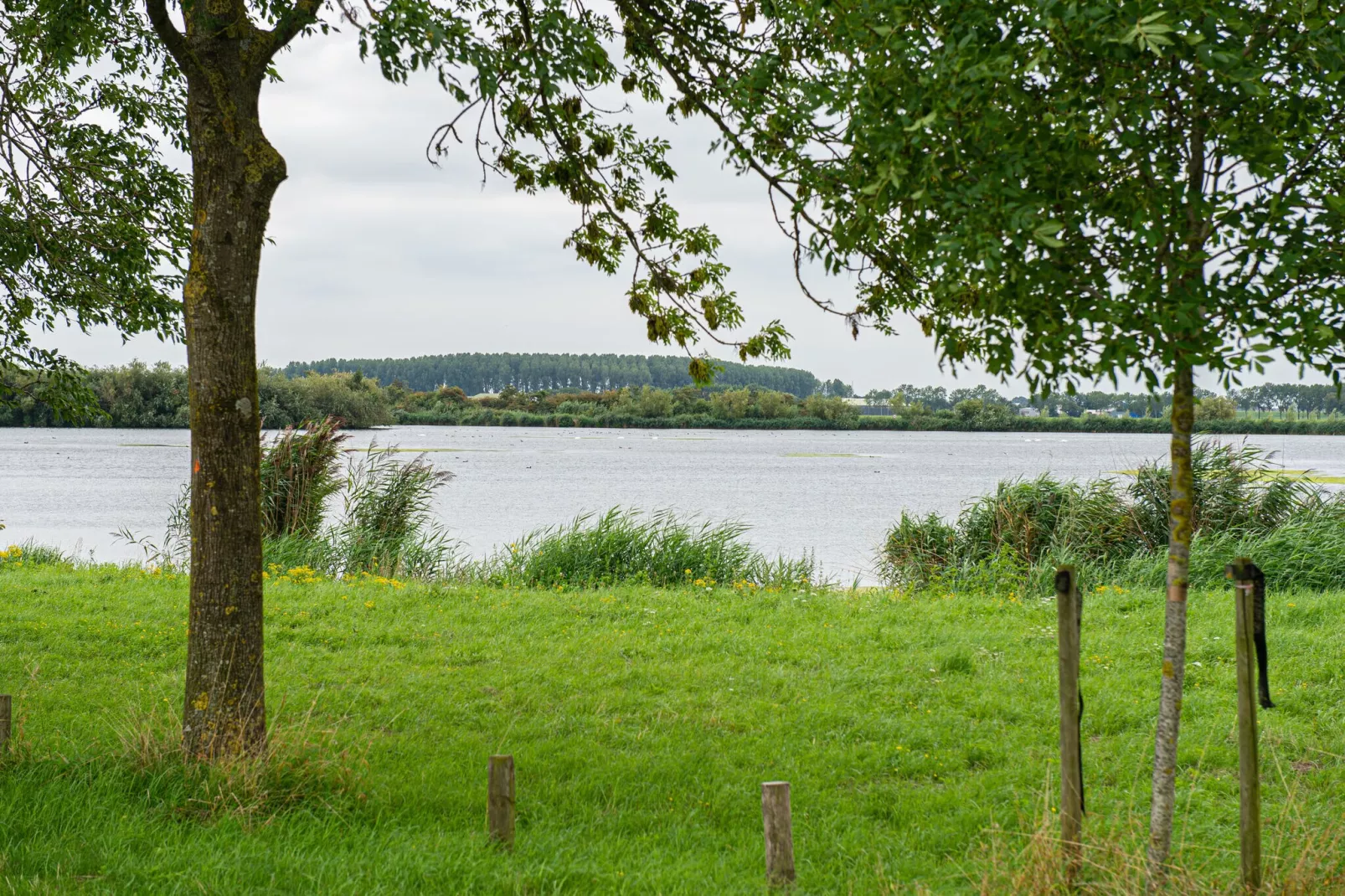 Kuifduiker 138c-Gebiete Sommer 1 km