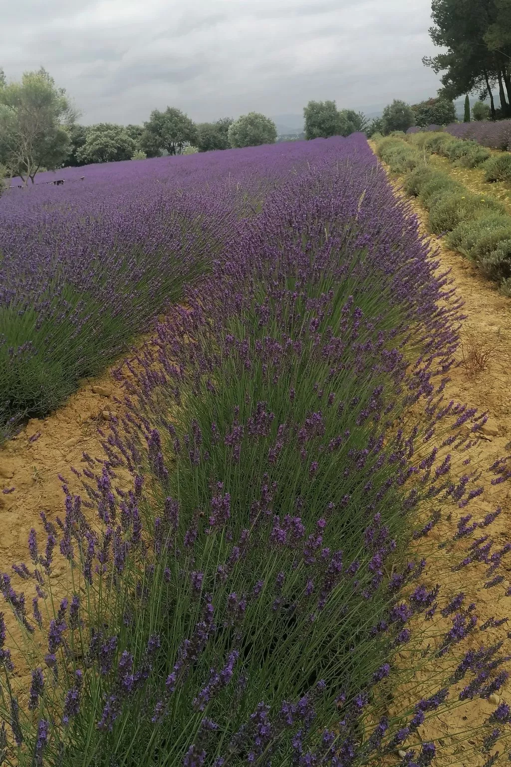 Maison Bleu - Outside