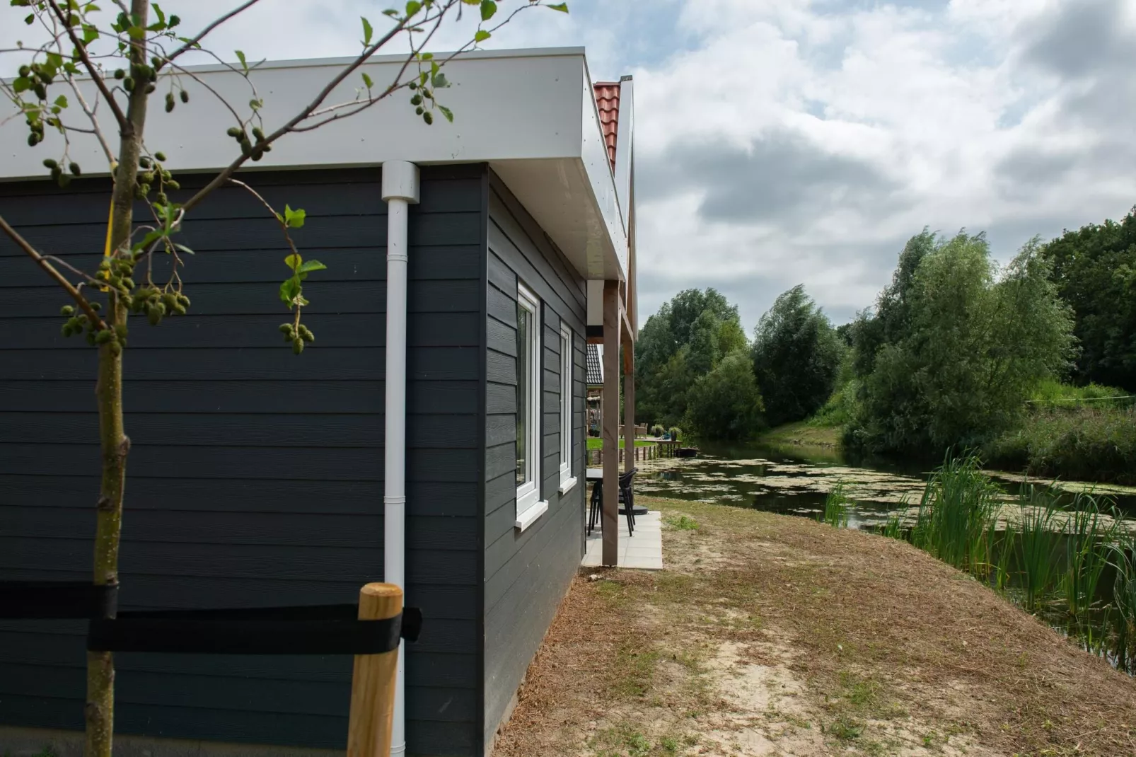 Rietzanger nr 134-Exterior summer