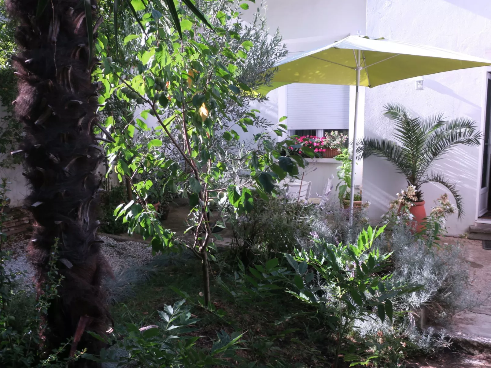 Ferienzimmer "Toulousaine arborée" (Toulouse mit Bäumen) - Draußen