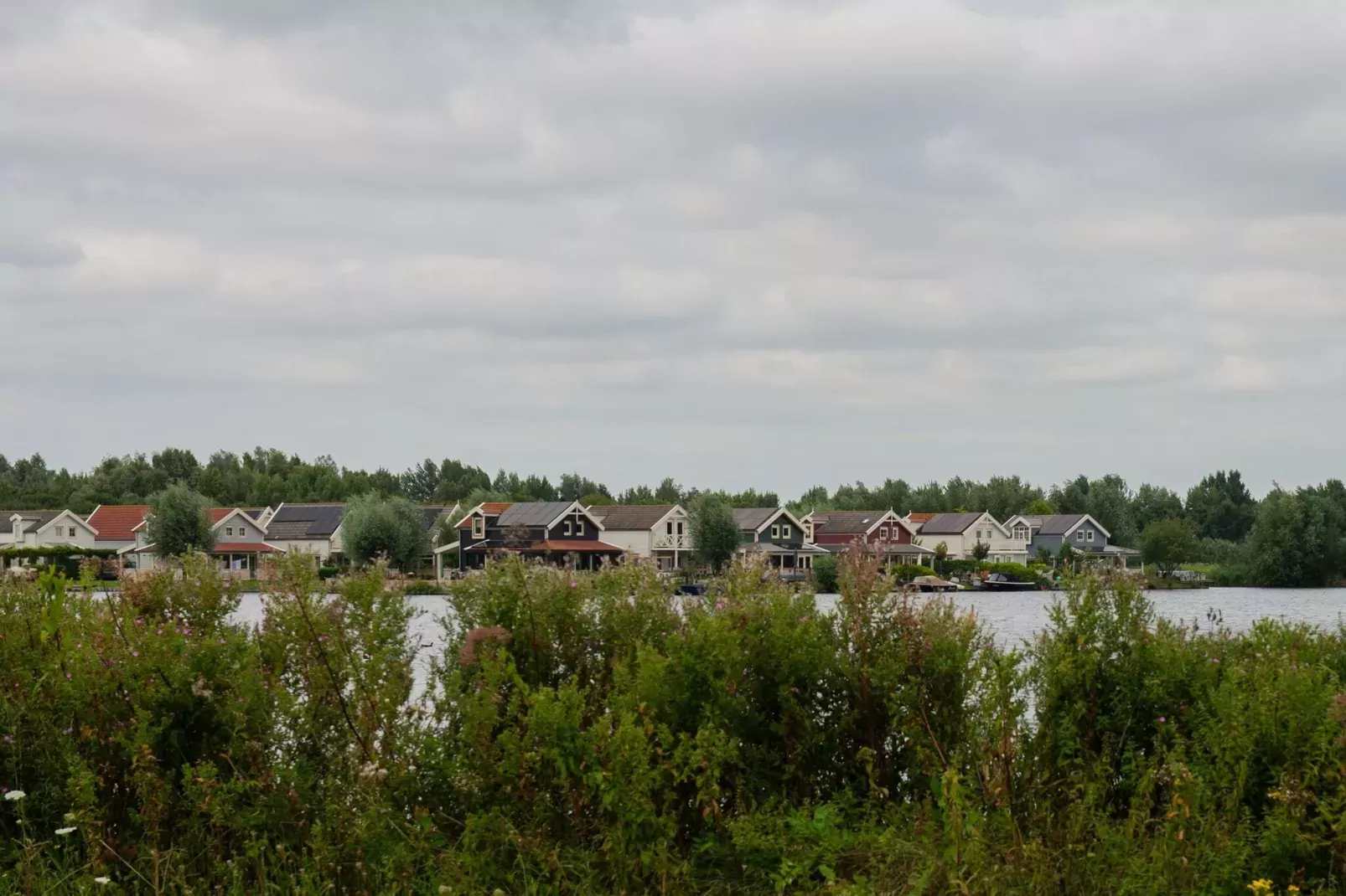 Rietzanger nr 134-Areas summer 1km