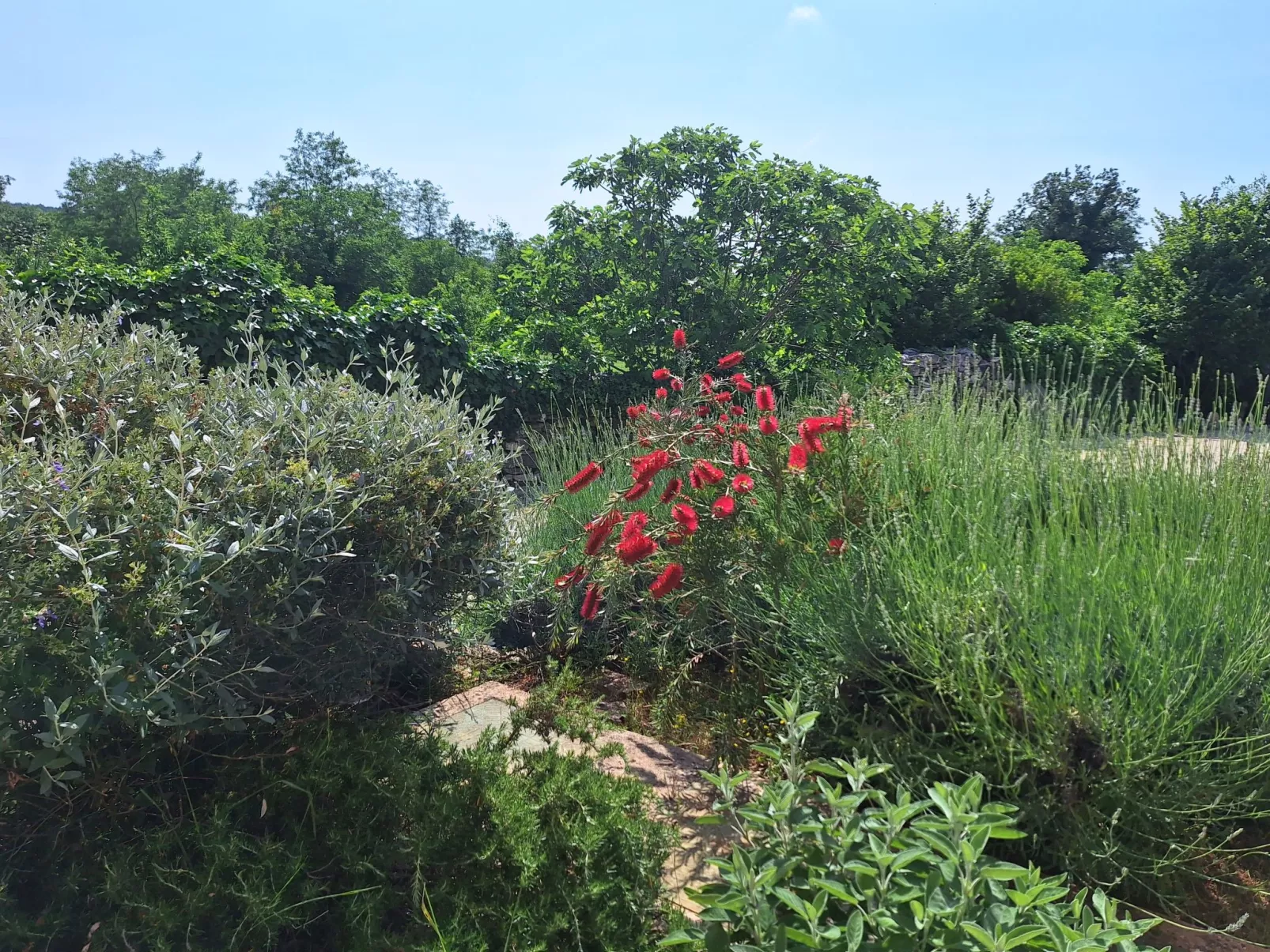 Villa Malini - Draußen