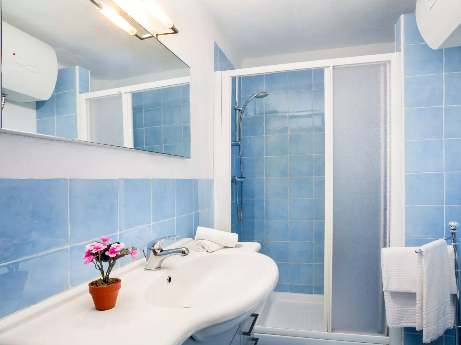 Bougainvillae Bilo - Dedans