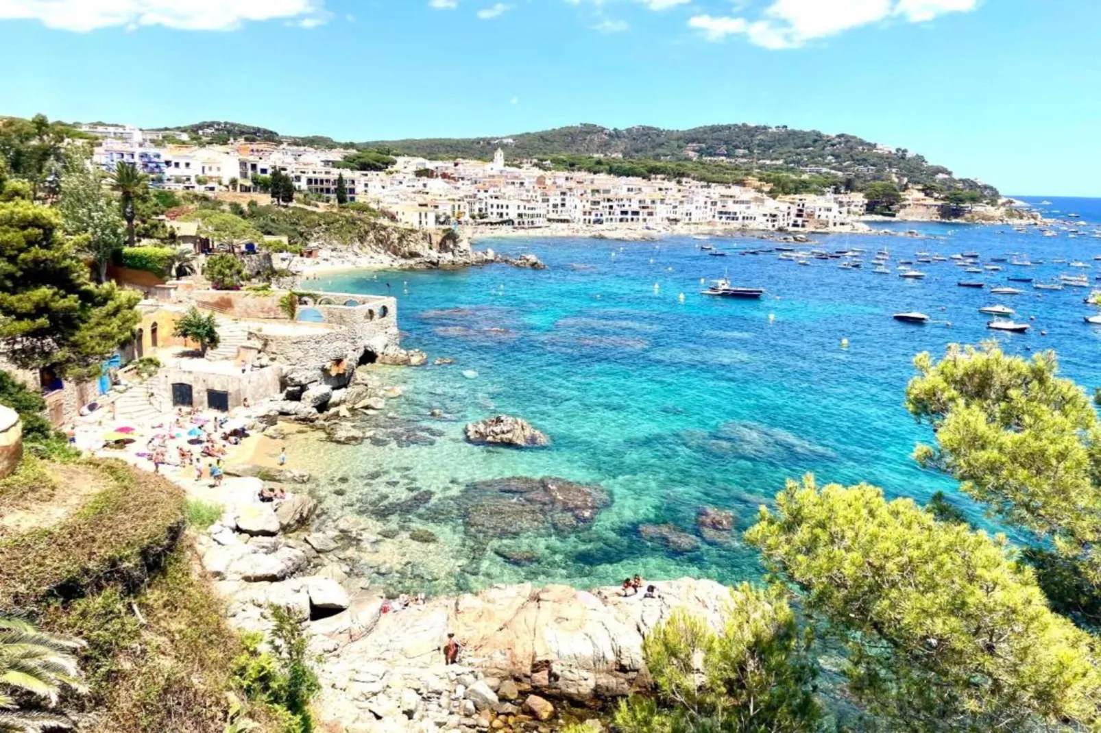 Mar Sol  Pl. - Areas within 20km in summer