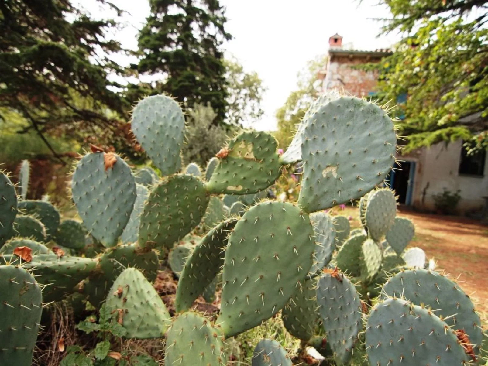 Modernes Ferienhaus in Drenje mit Privatem Garten - Inside