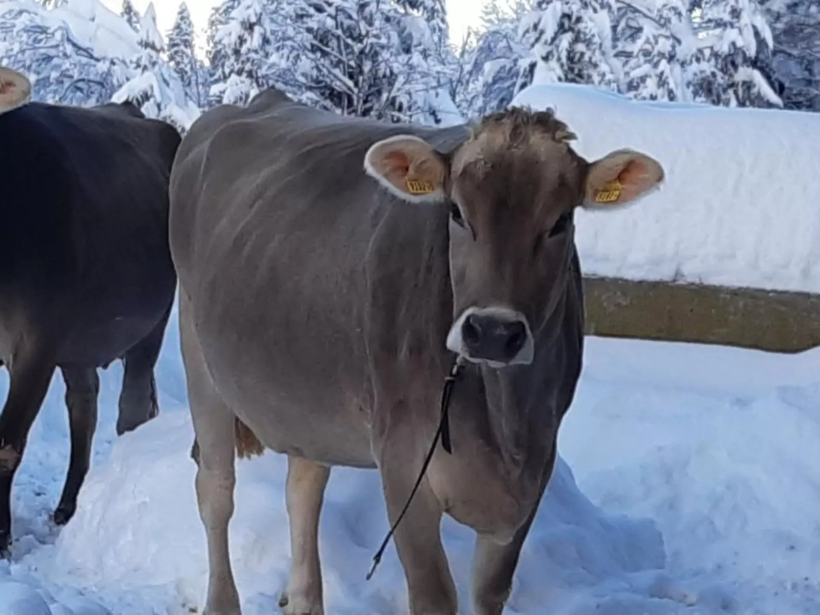 Hof Unterstein - Dehors