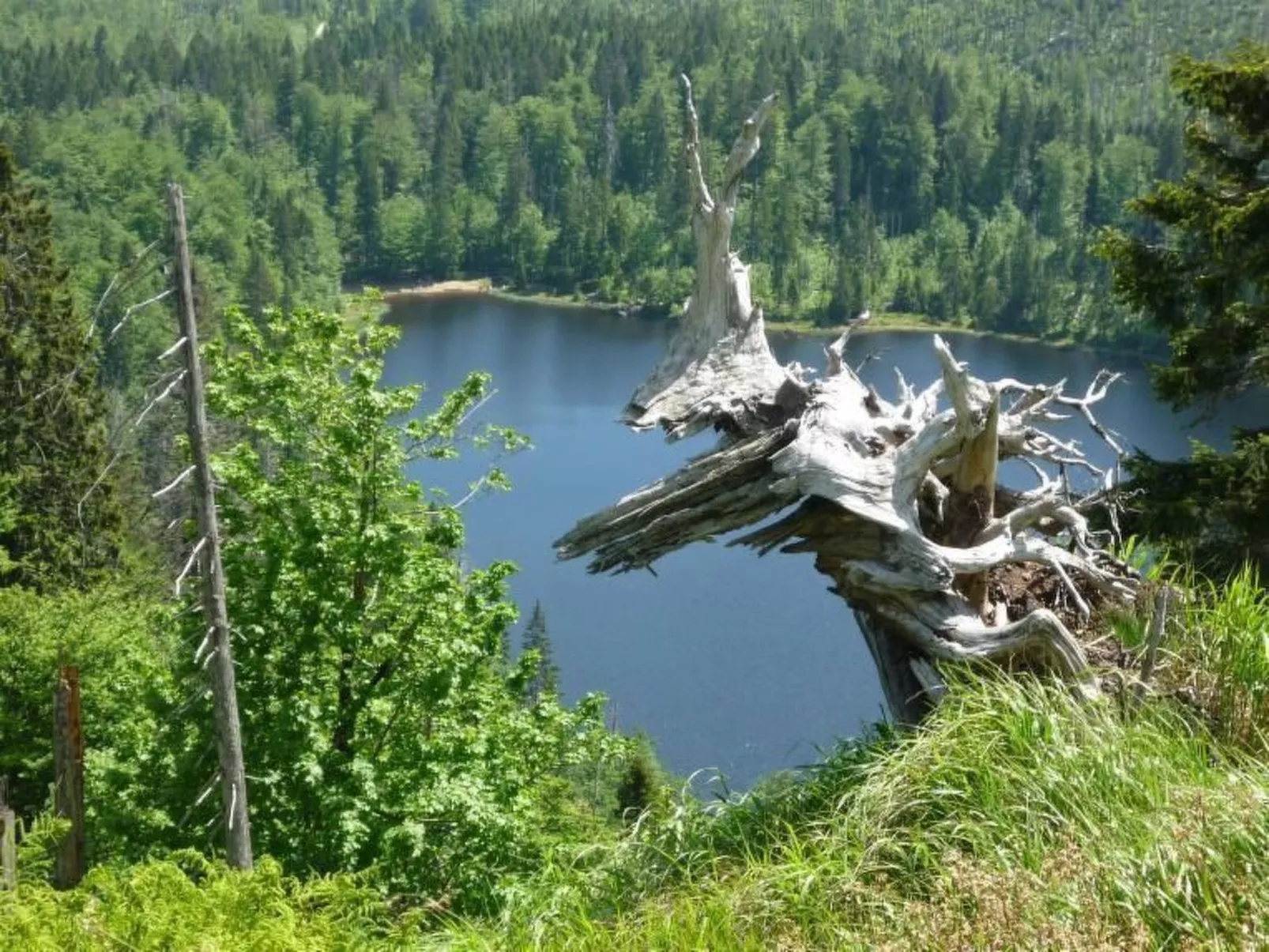 Moderne Ferienwohnung mit Gartennutzung - Outside