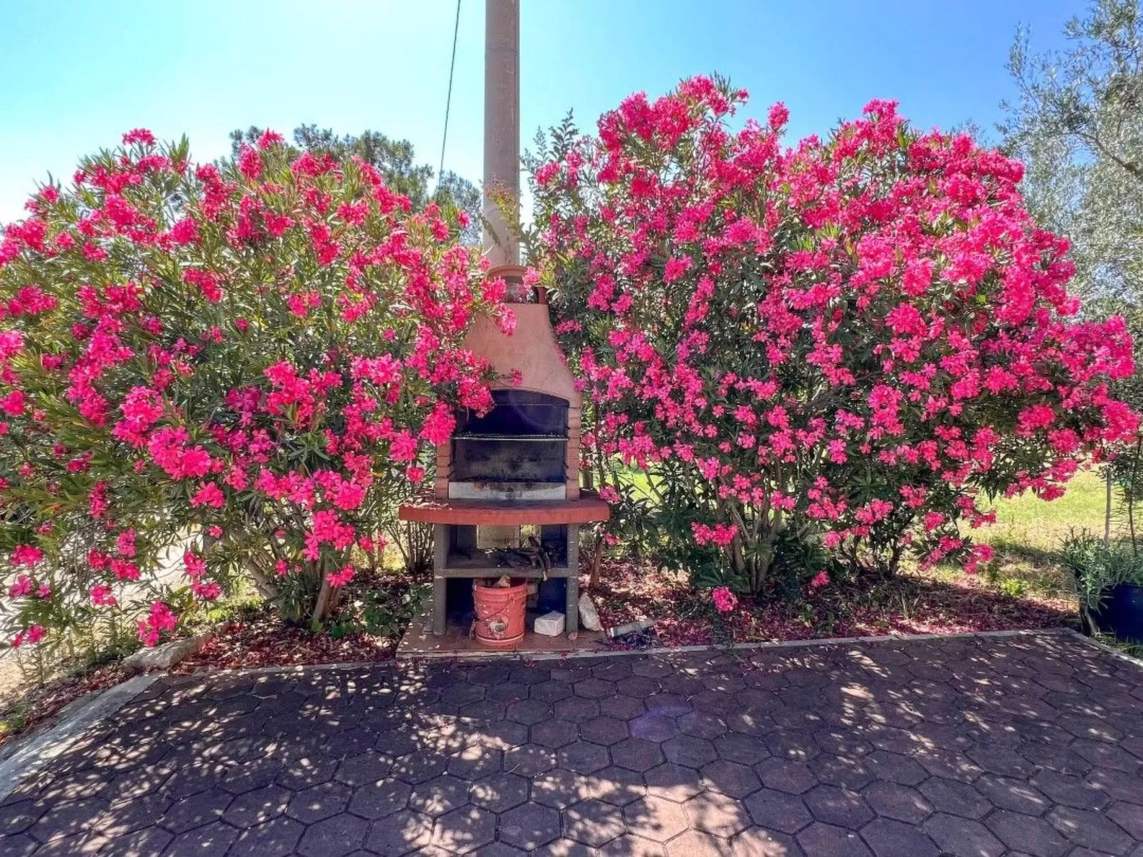 Wohnung "Viola" mit Balkon - Dehors