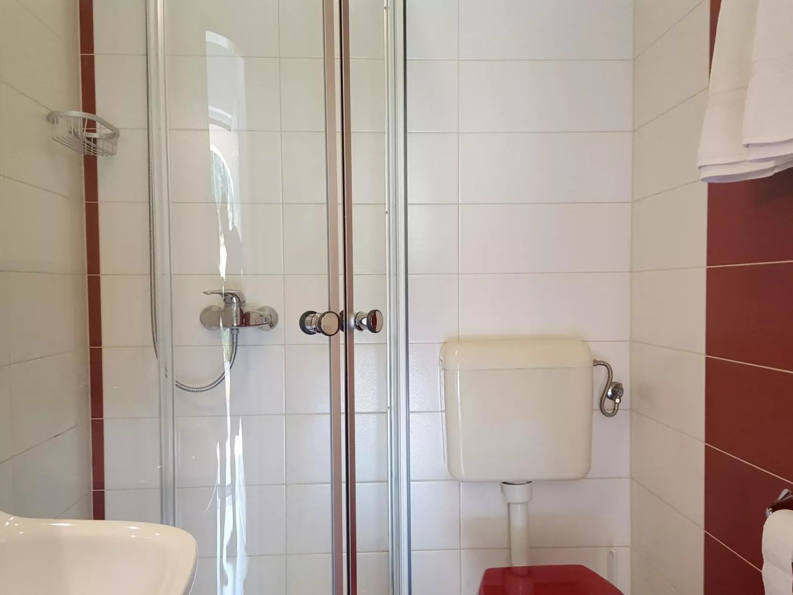 Ginkgo 3 - Image-tags.info