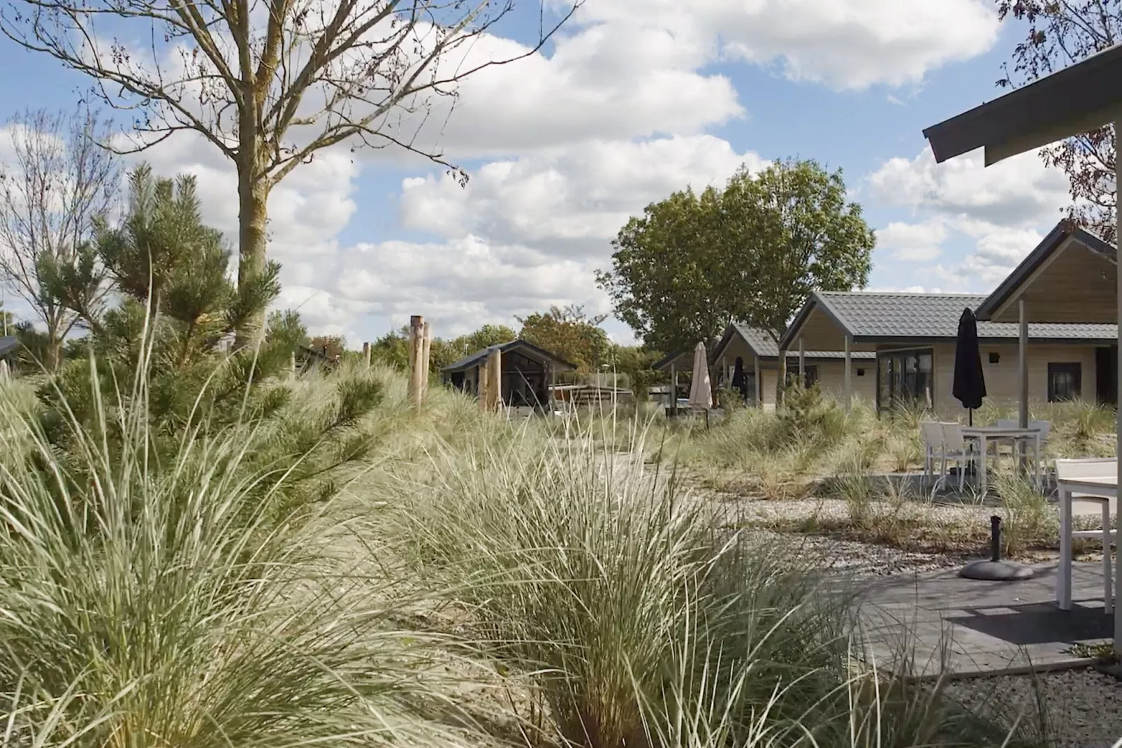 Resort Poort van Zeeland 15-Gebiete Sommer 1 km