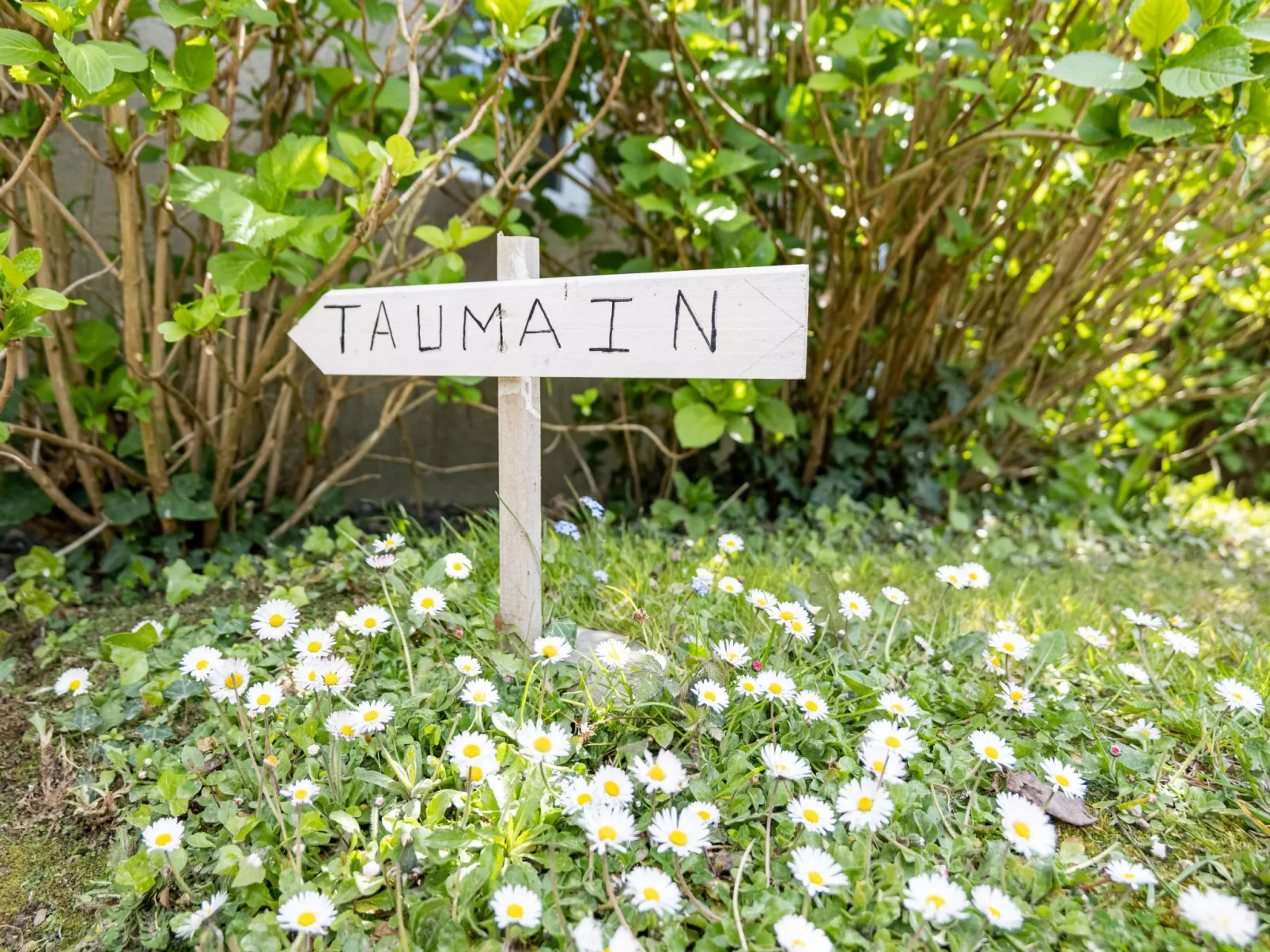 Gîte Taumain - Outside