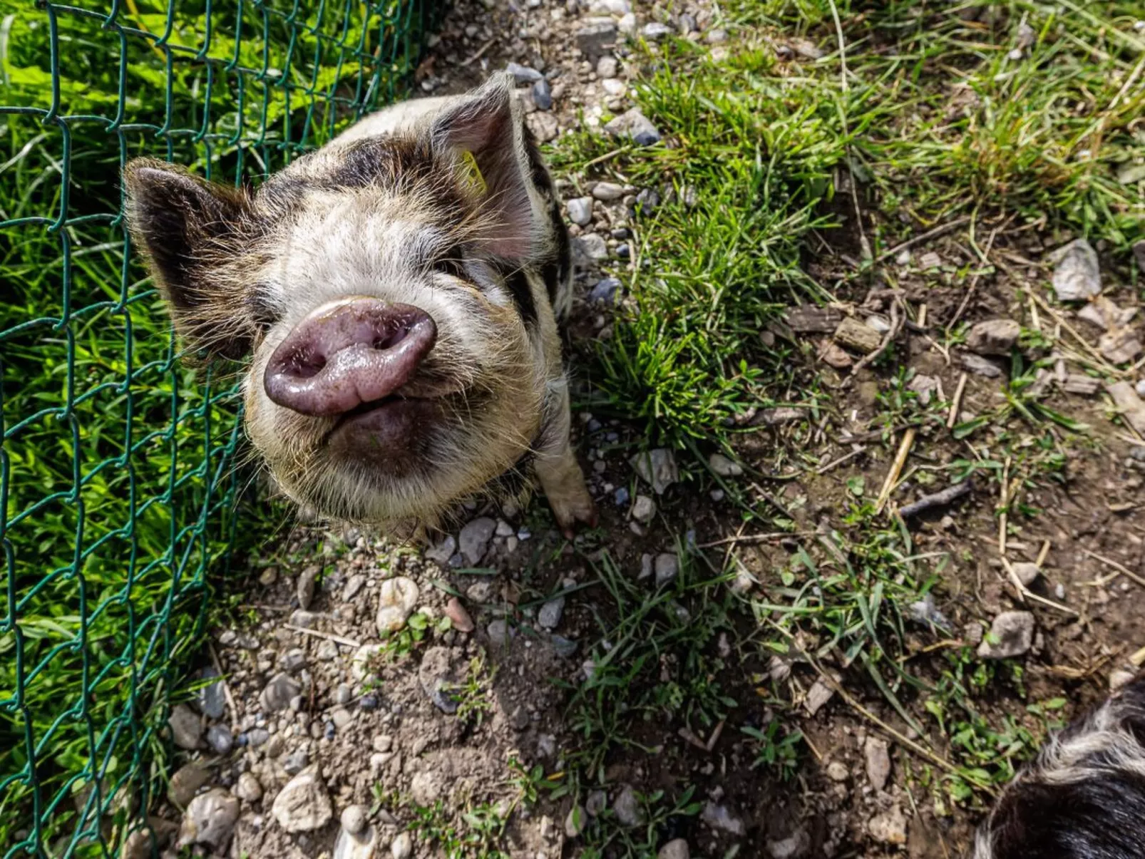 Uelis-Stoeckli - Outside