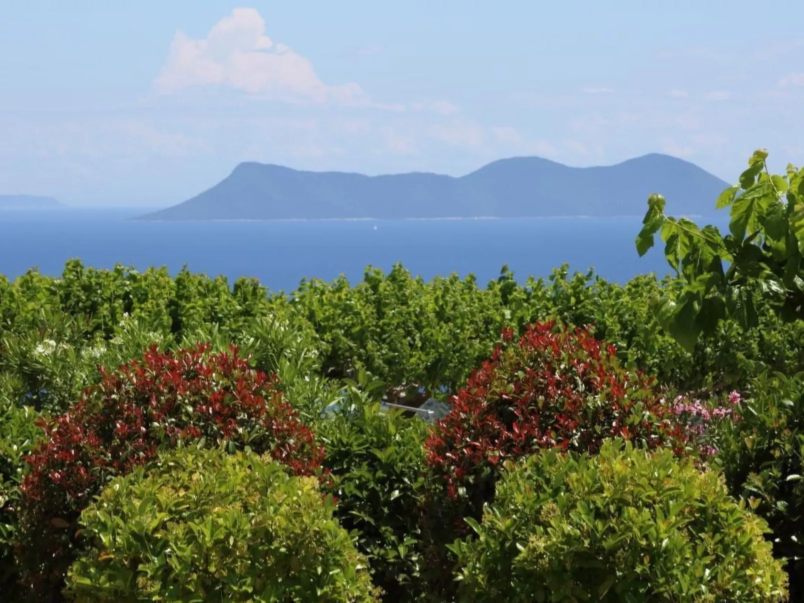 Dange Villa für 6 Personen - Draußen