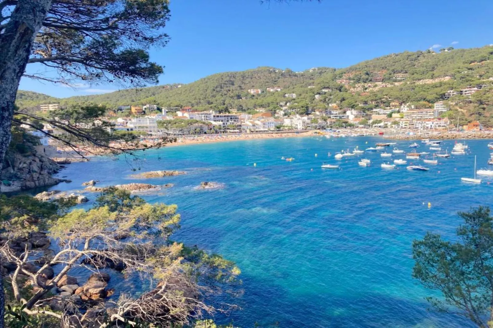 Mar Sol  Pl. - Areas within 20km in summer