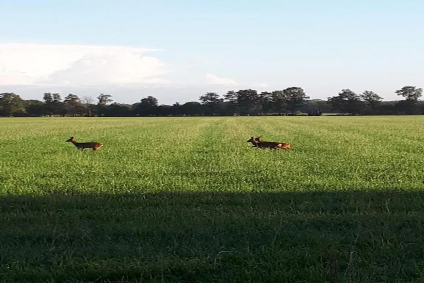 Chalet Egel - Gebiete Sommer 20 km