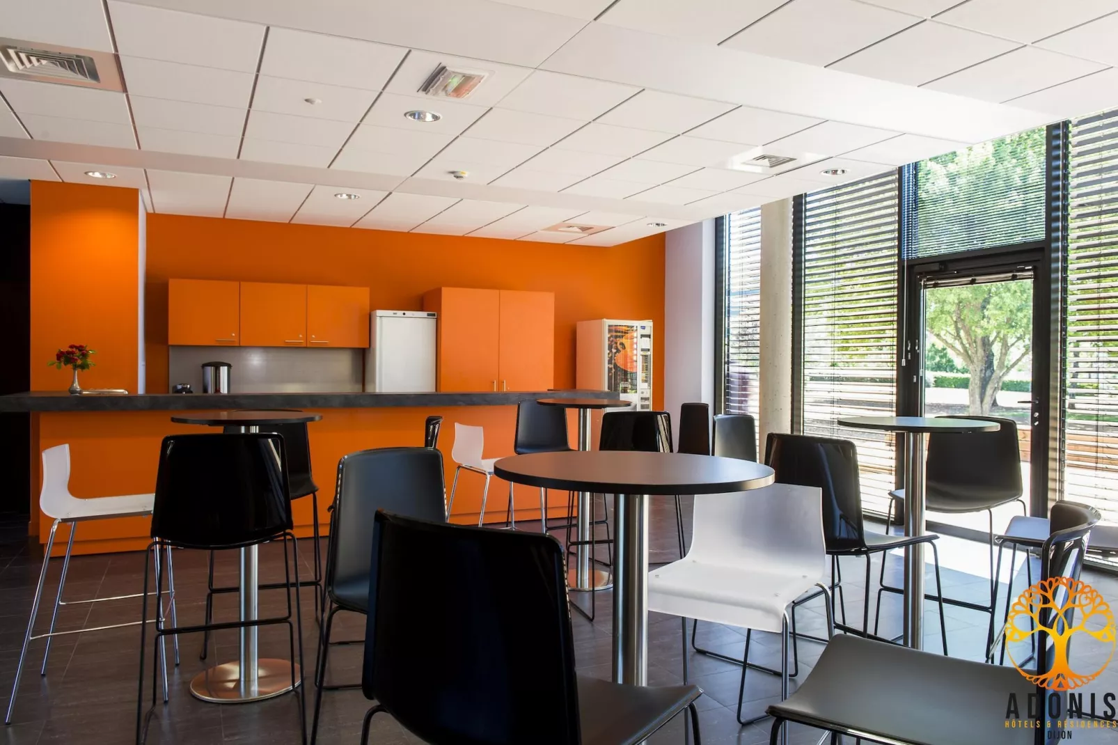 Adonis Dijon Double/Superior studio - Parkeinrichtungen
