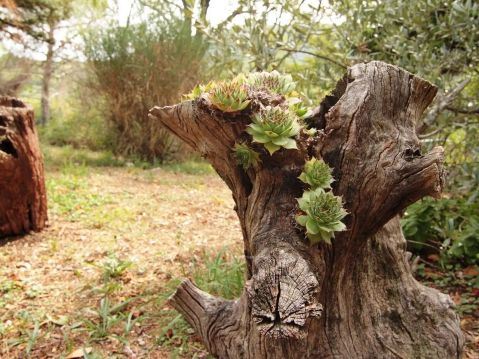 Modernes Ferienhaus in Drenje mit Privatem Garten - Inside