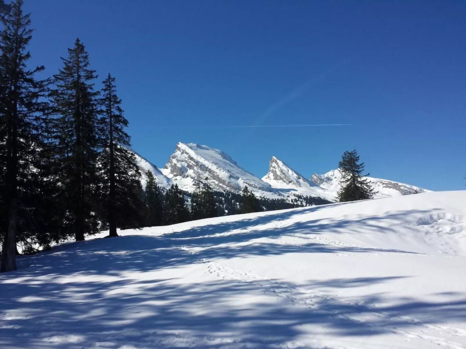 Hof Unterstein - Dehors