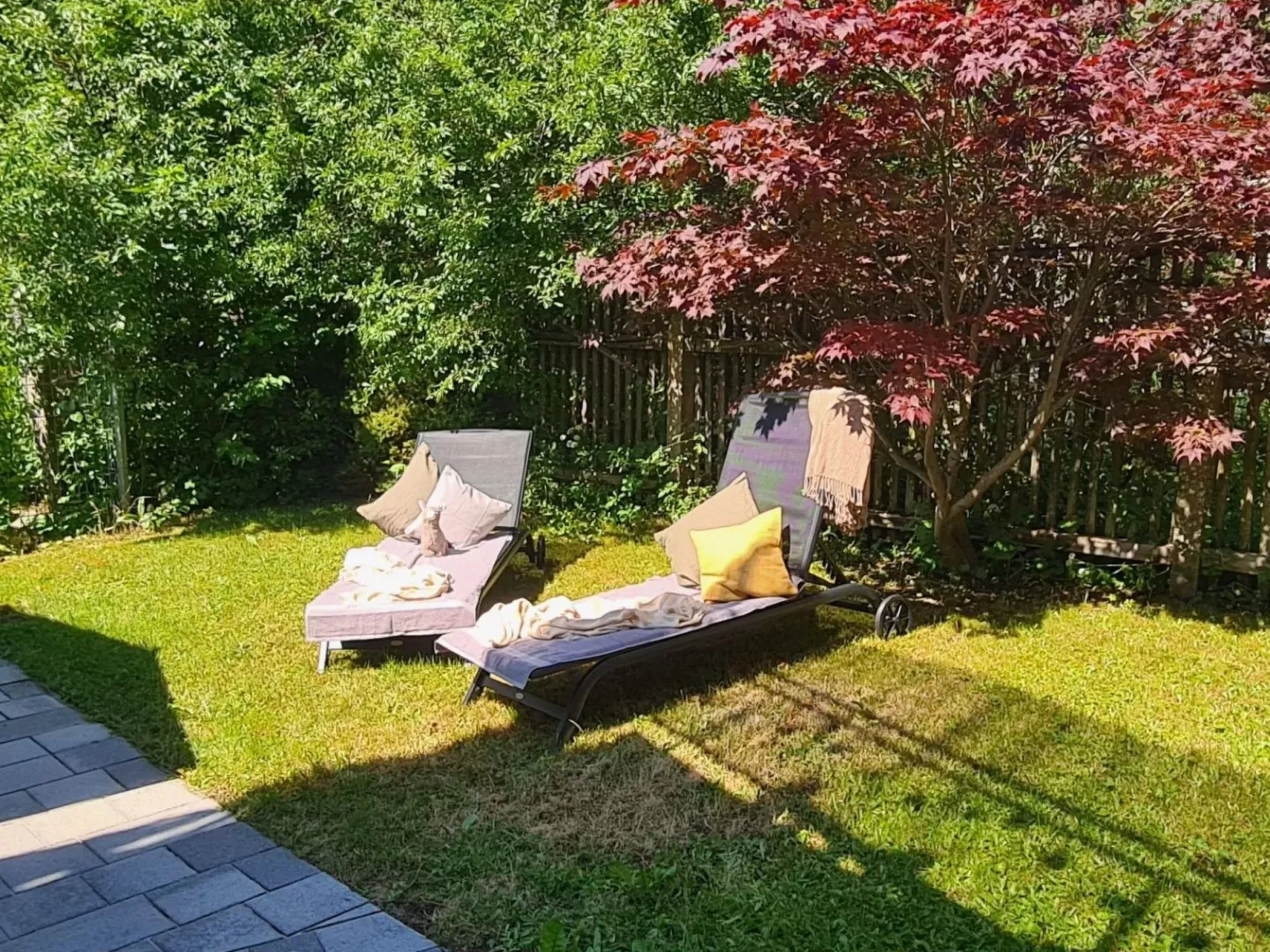 Kraxler Single - Drinnen