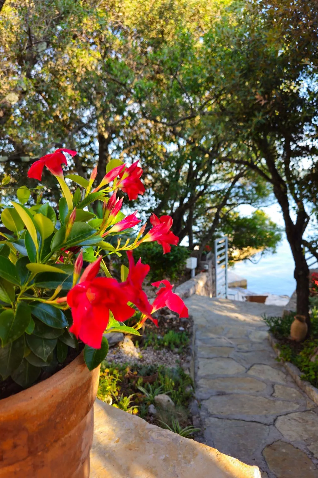 Für 4 Personen - Dehors