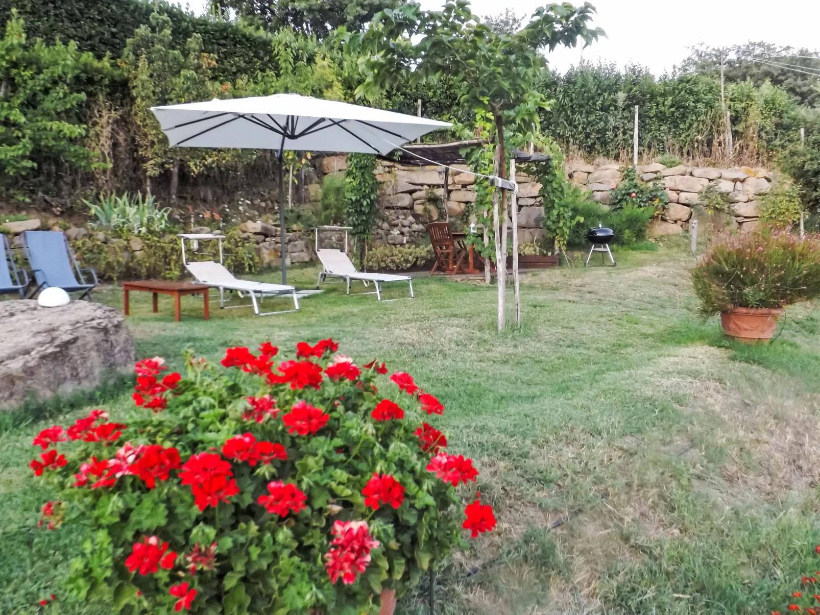 Il canto dei merli - Outside