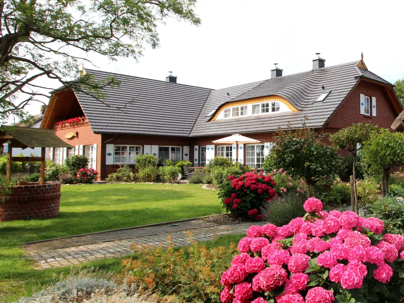 Tohus - Tamme - Image-tags.info