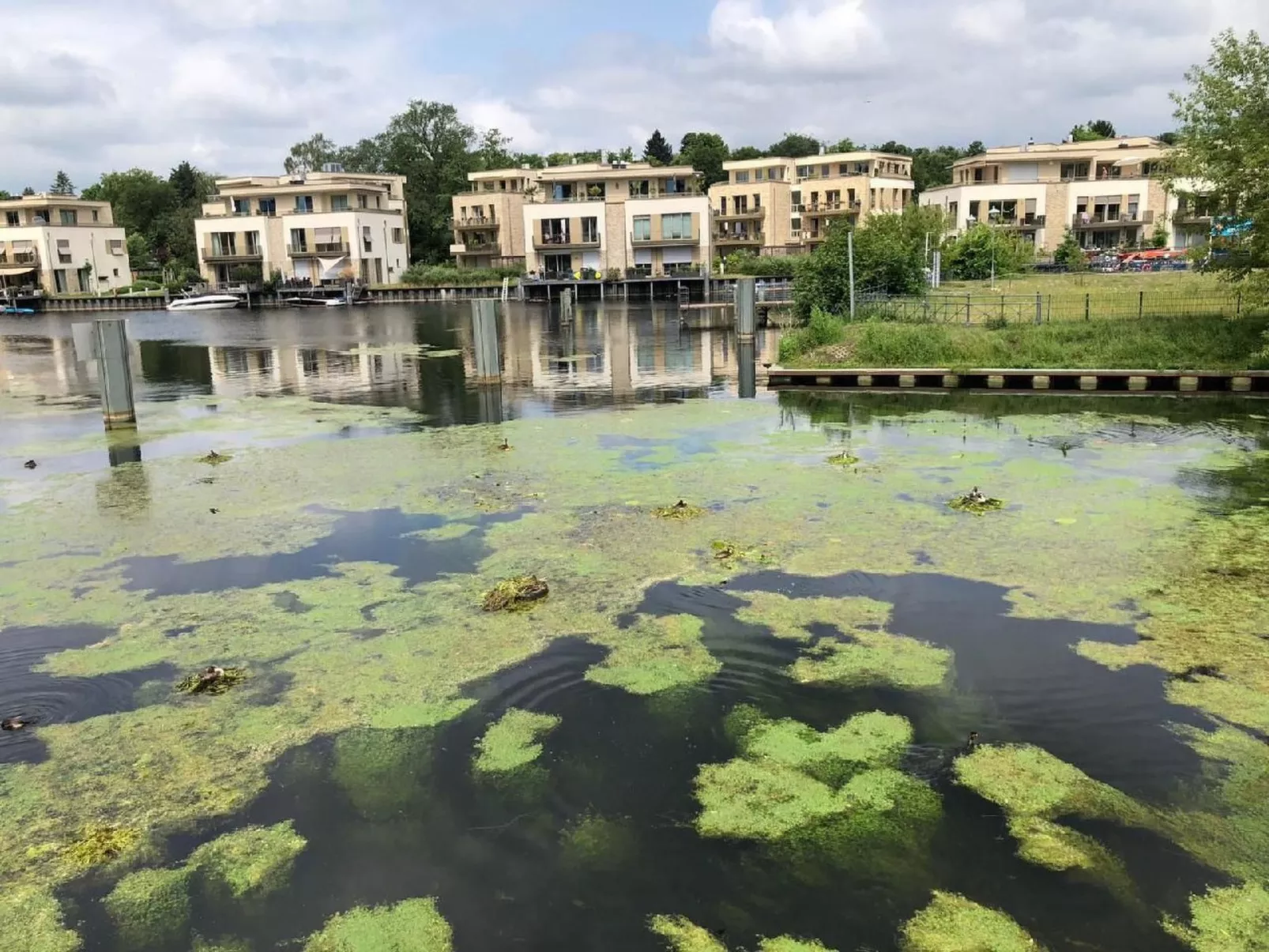 Modernes helles Zimmer im Loft am See - Outside