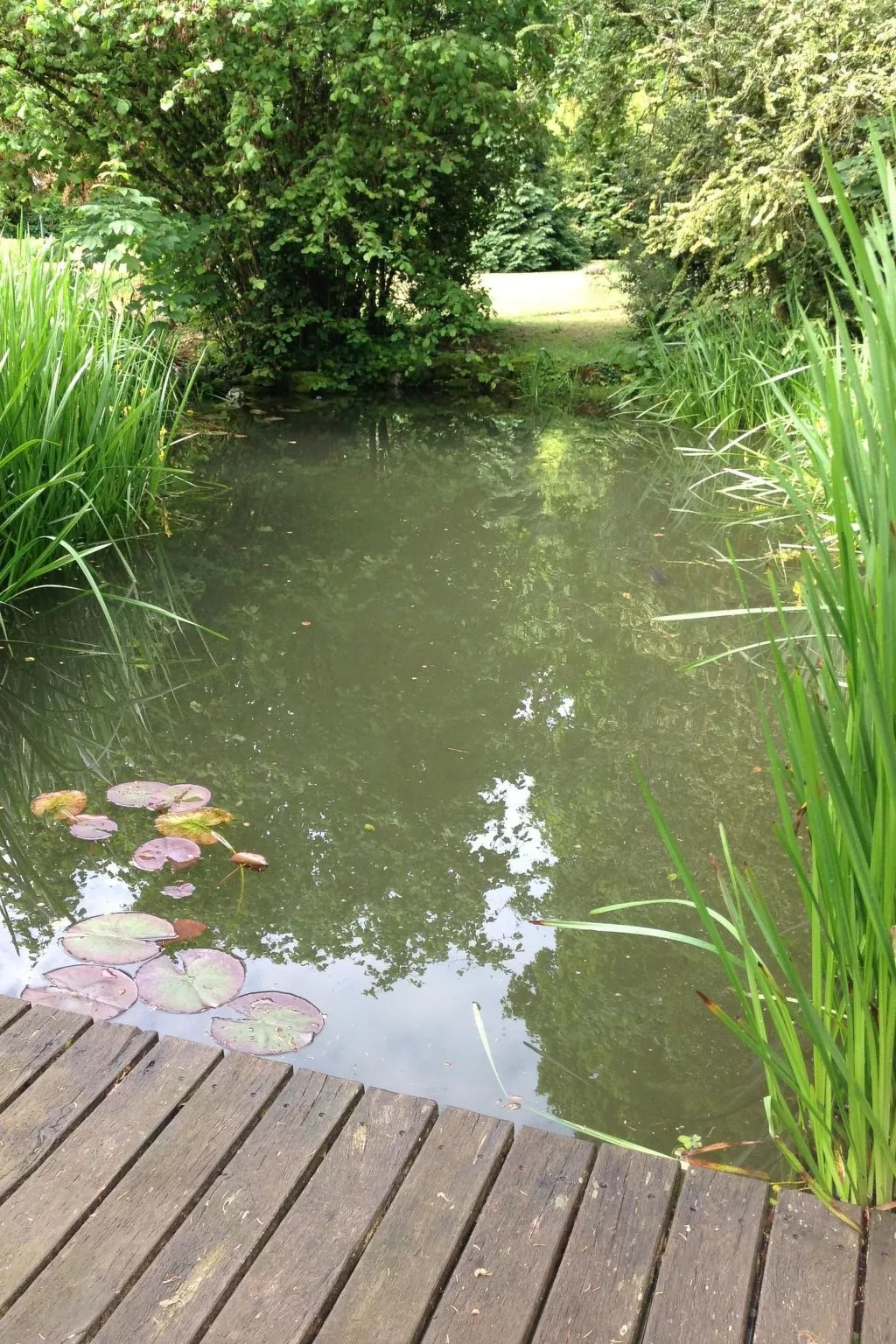 MaisonMazerand    Wohnen - Entspannen - Genießen - Draußen