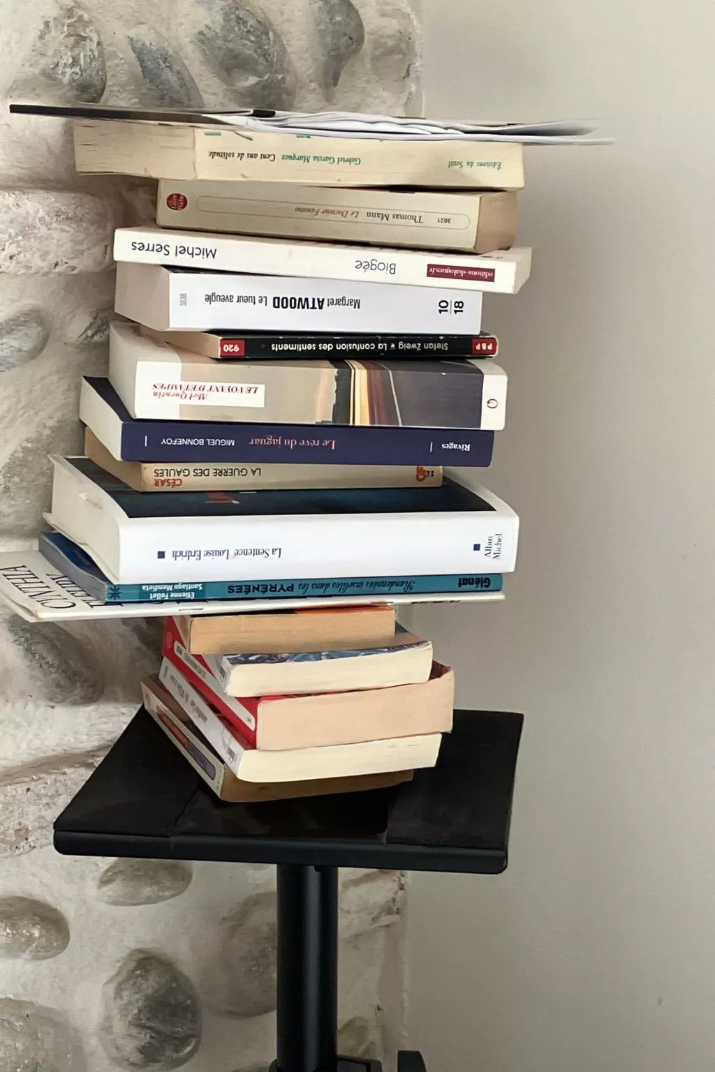 Gästezimmer "Toulousaine arborée". - Draußen