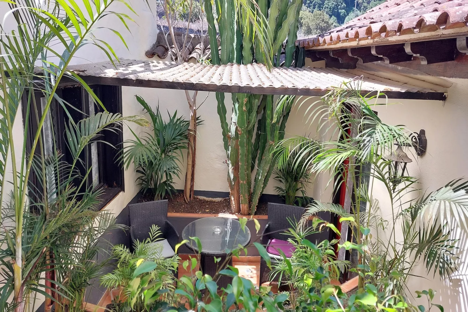 Apartamentos Monasterio de San Antonio 5 - Terrasse/Balkon