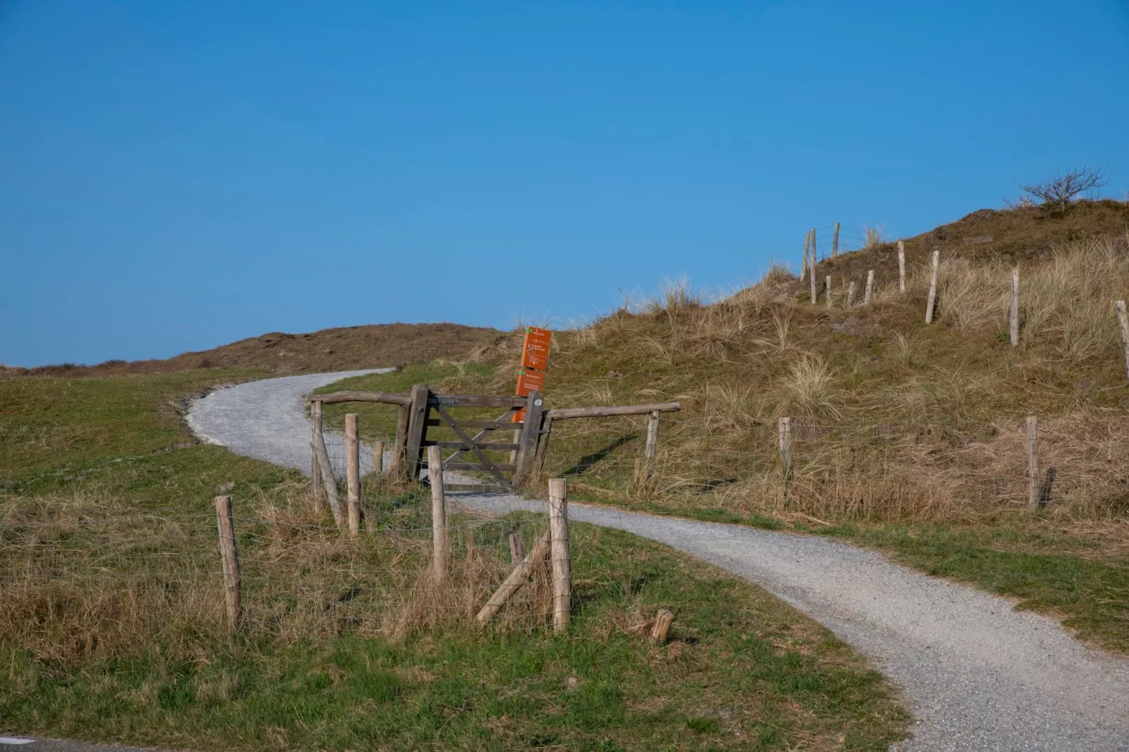 Duinland 248 (copy) - Areas within 1km in summer