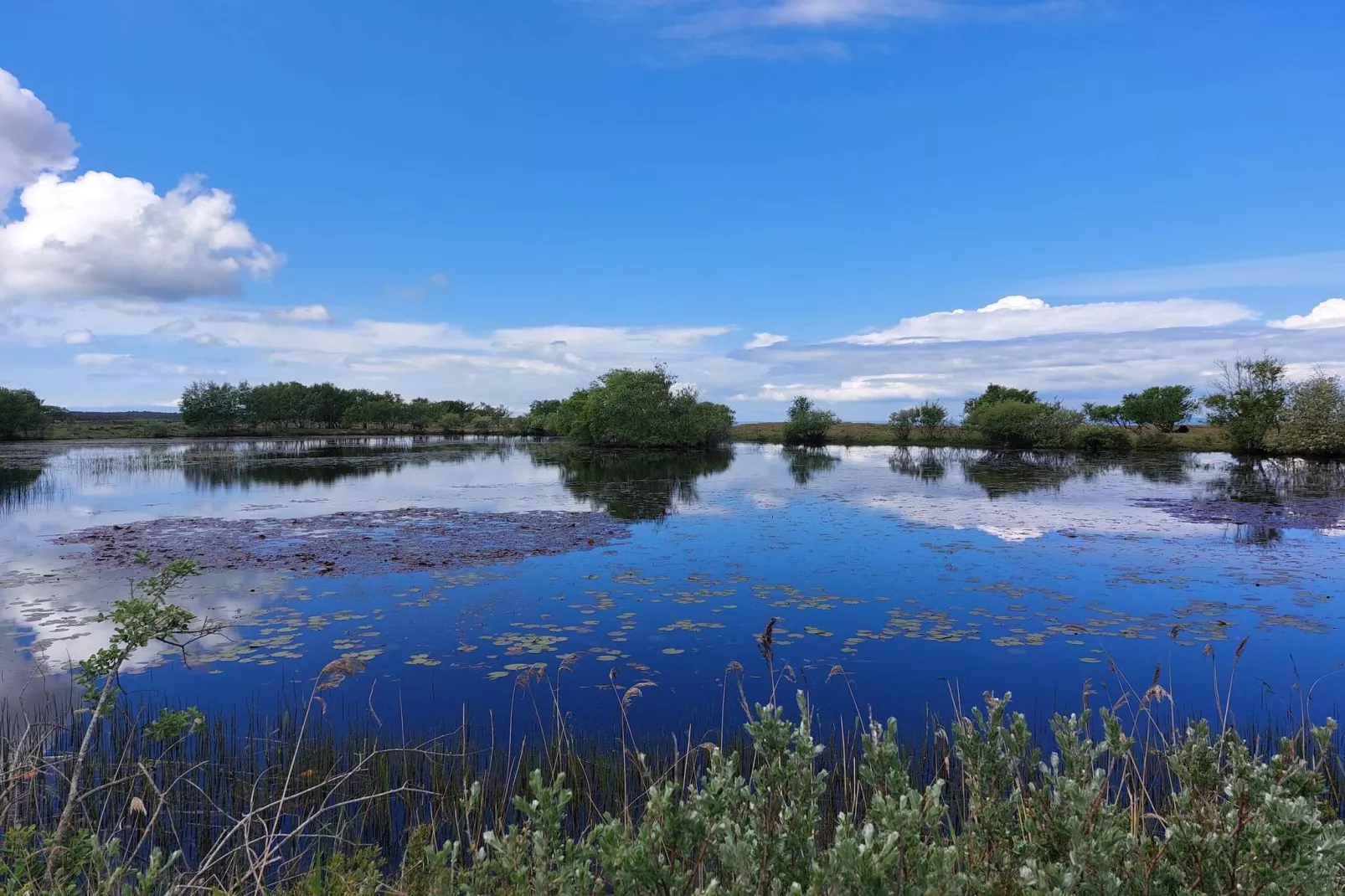 Maison de vacances pour 4 a Læsø - Vue sur l'eau