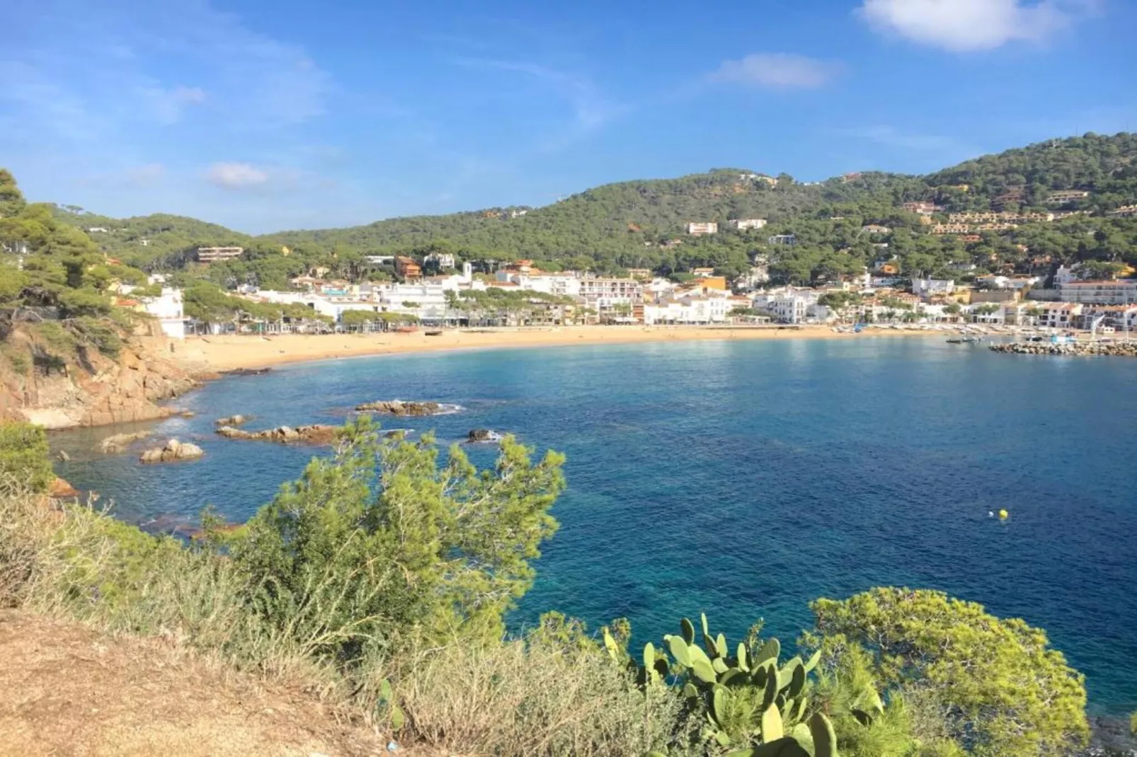 Mar Sol  Pl. - Areas within 20km in summer