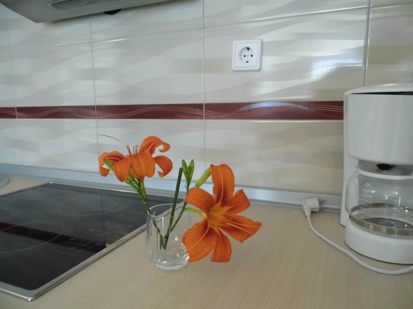 Wohnung "Balsic" mit Dachterrasse - Image-tags.info